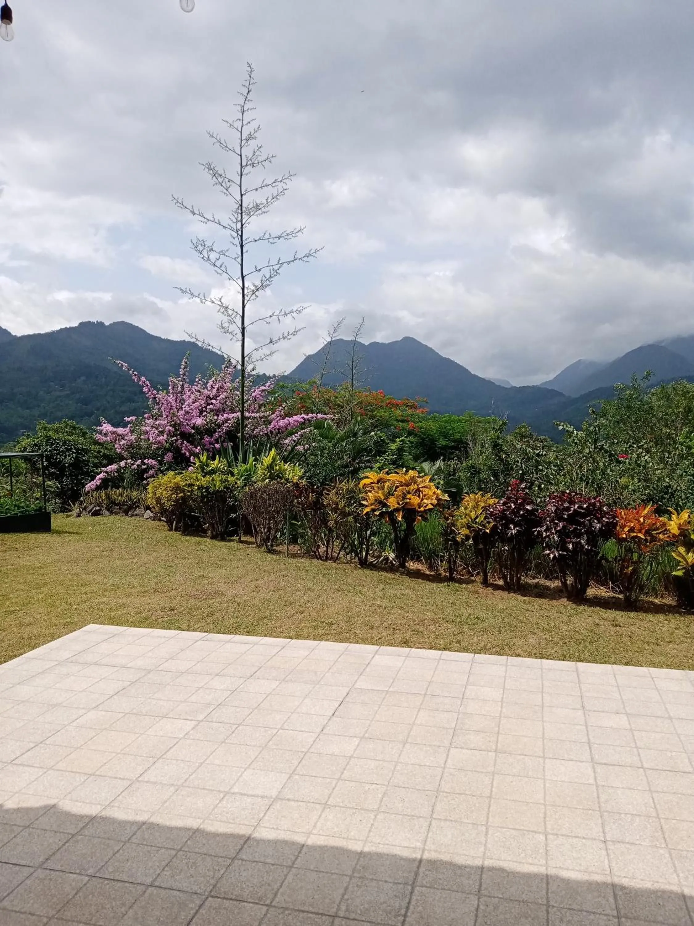 Garden view in Hotel Anachoreo