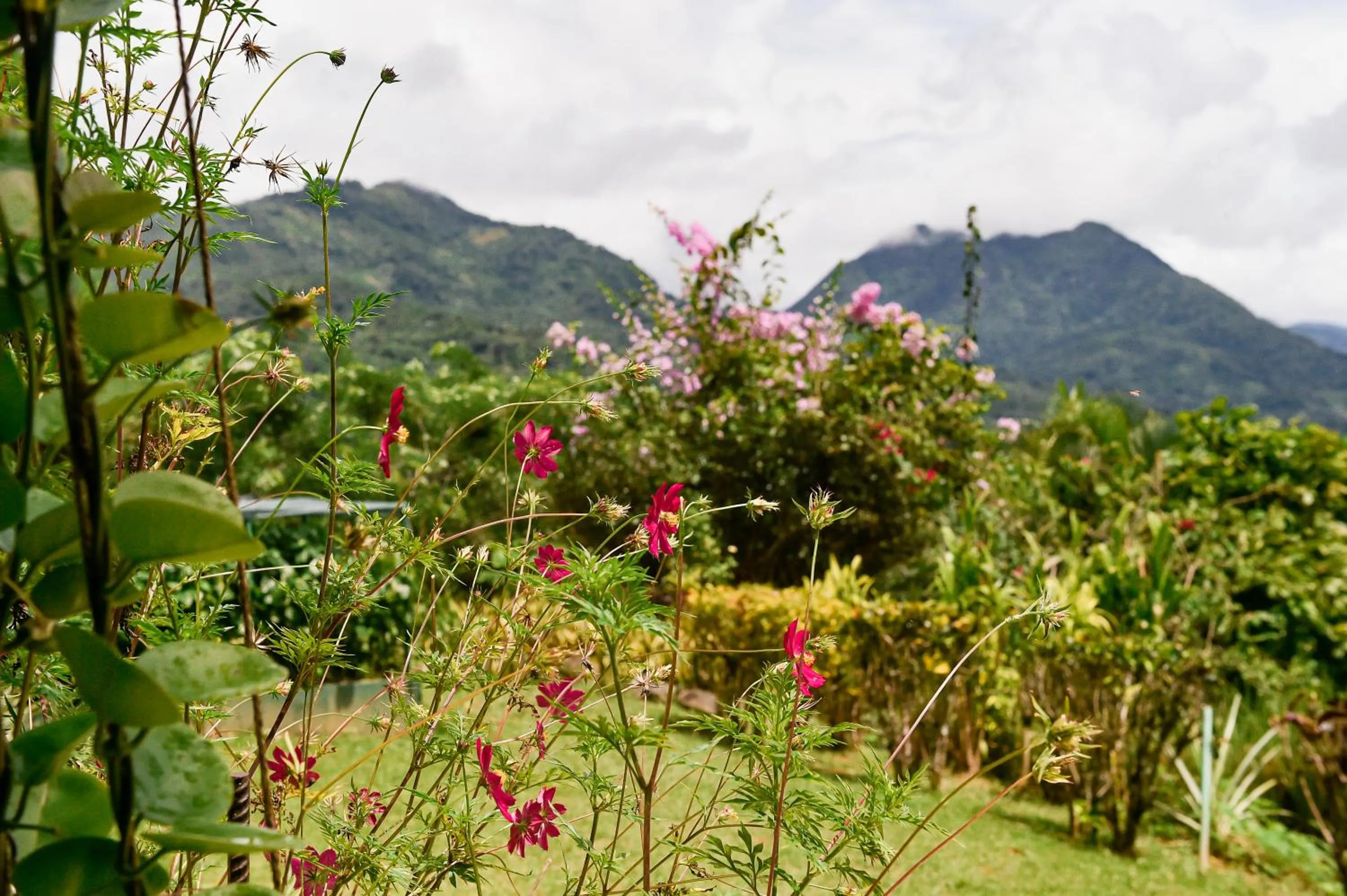 Mountain view in Hotel Anachoreo
