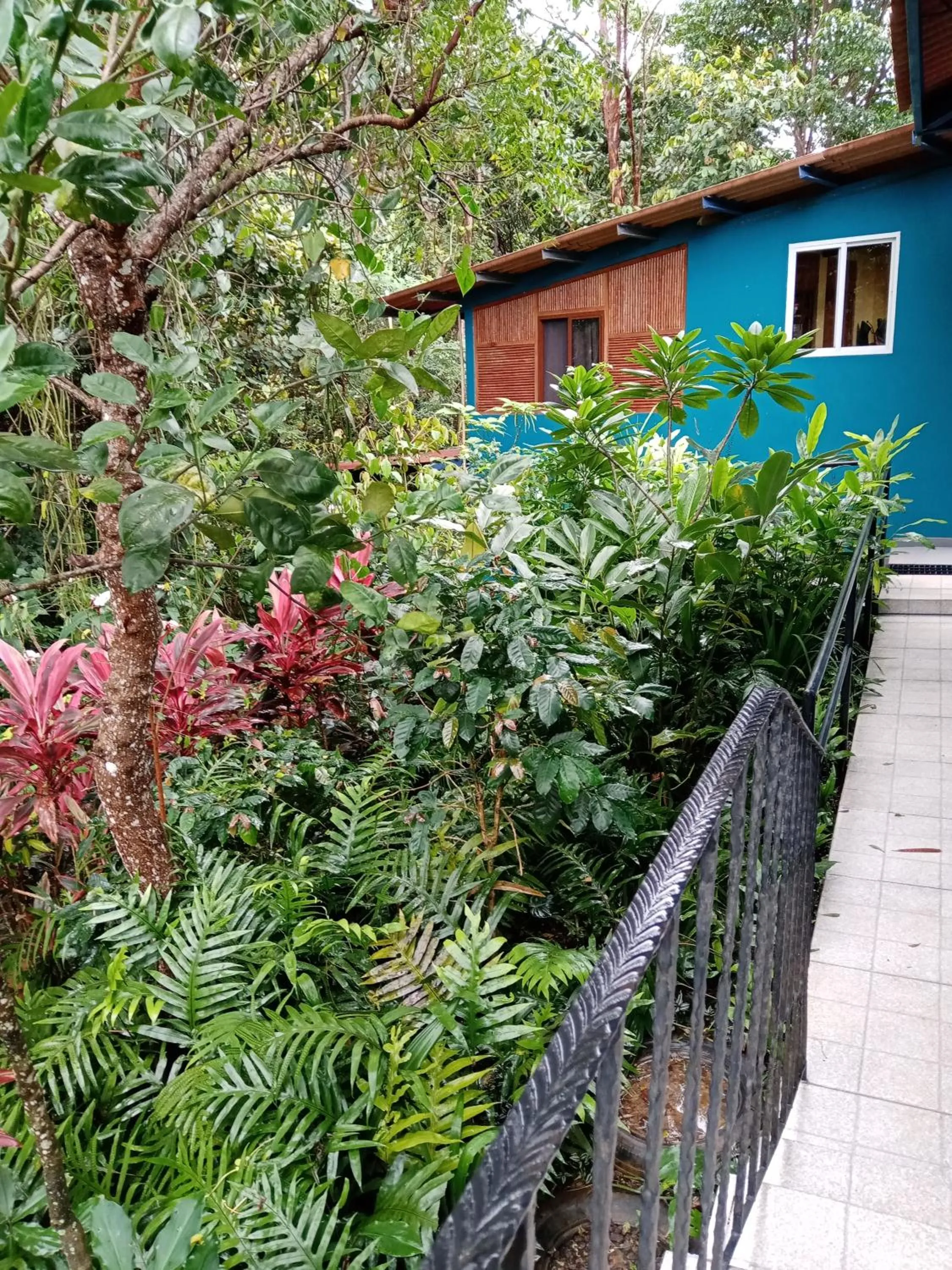 Garden in Hotel Anachoreo