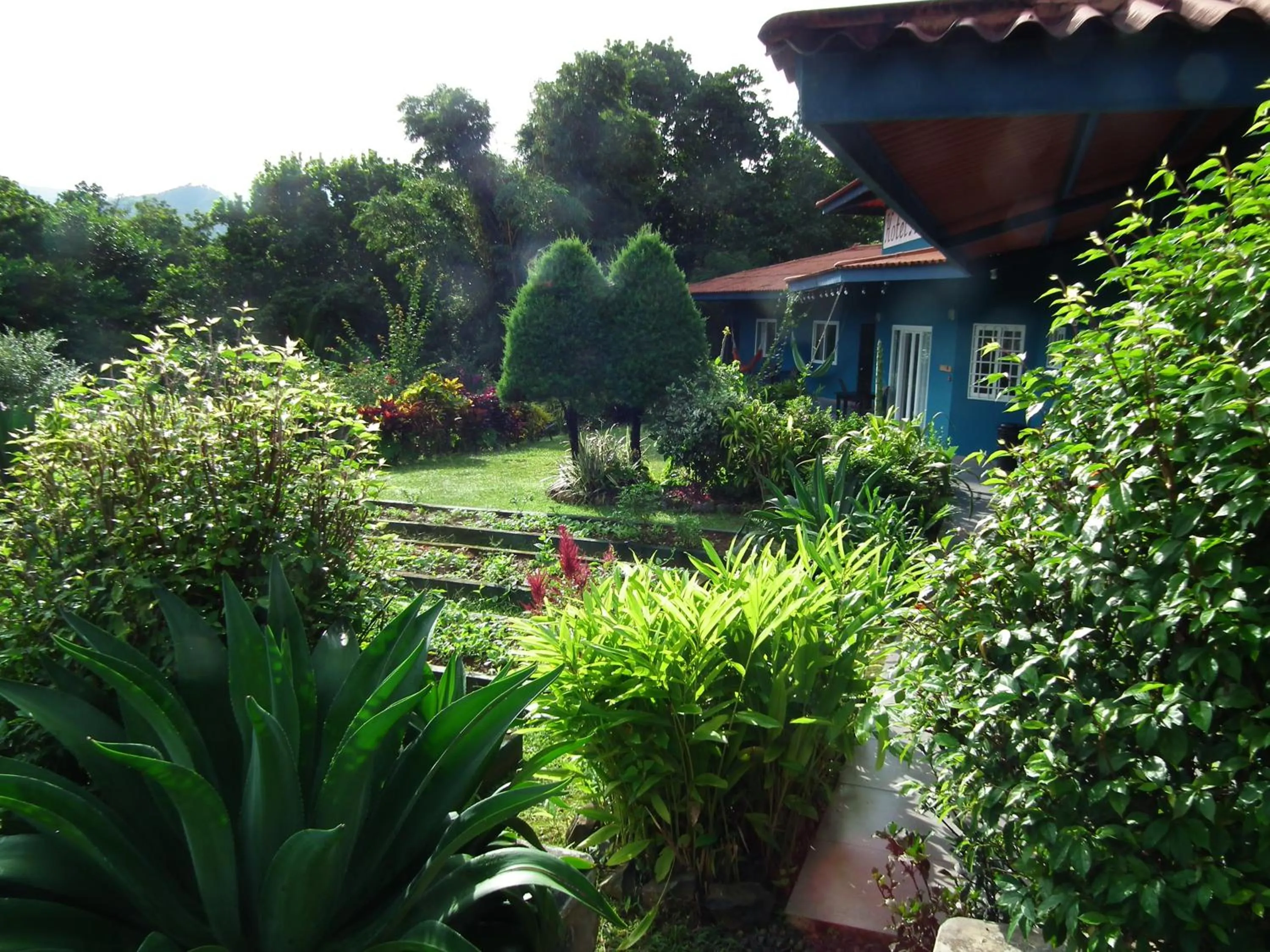 Garden view in Hotel Anachoreo