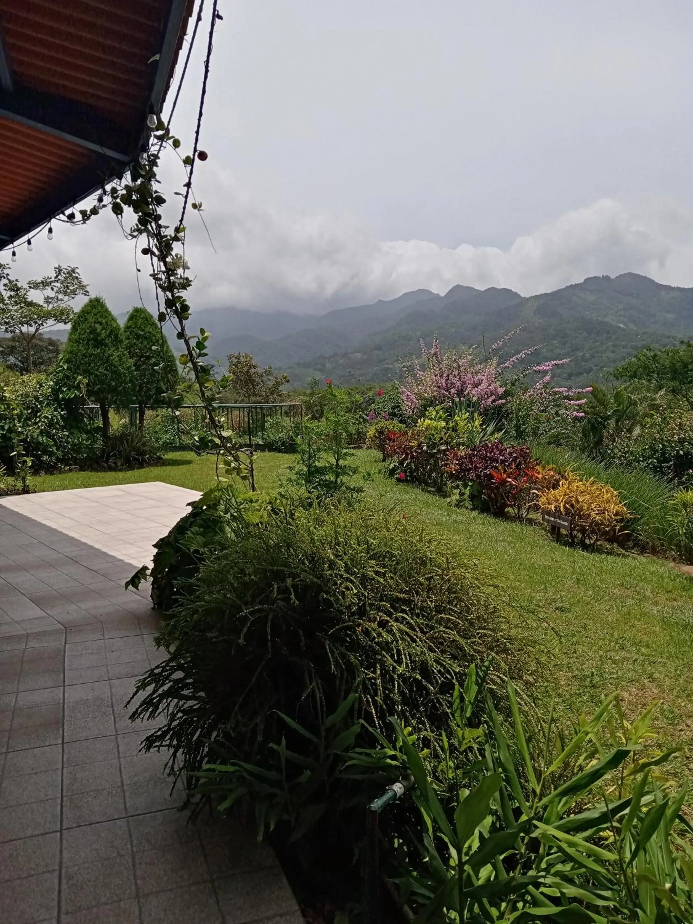 Garden view in Hotel Anachoreo