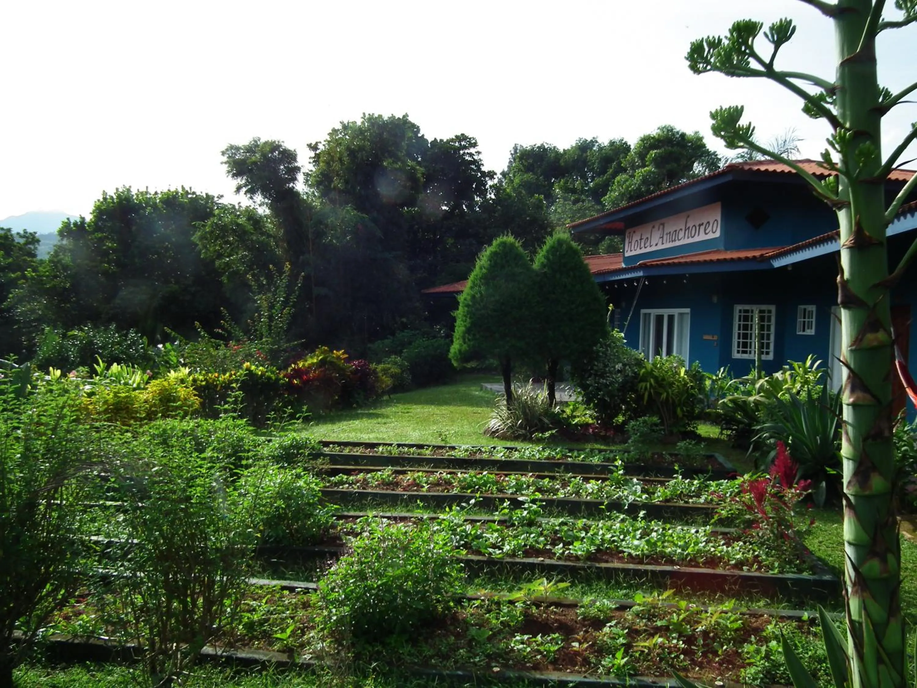 Property building in Hotel Anachoreo