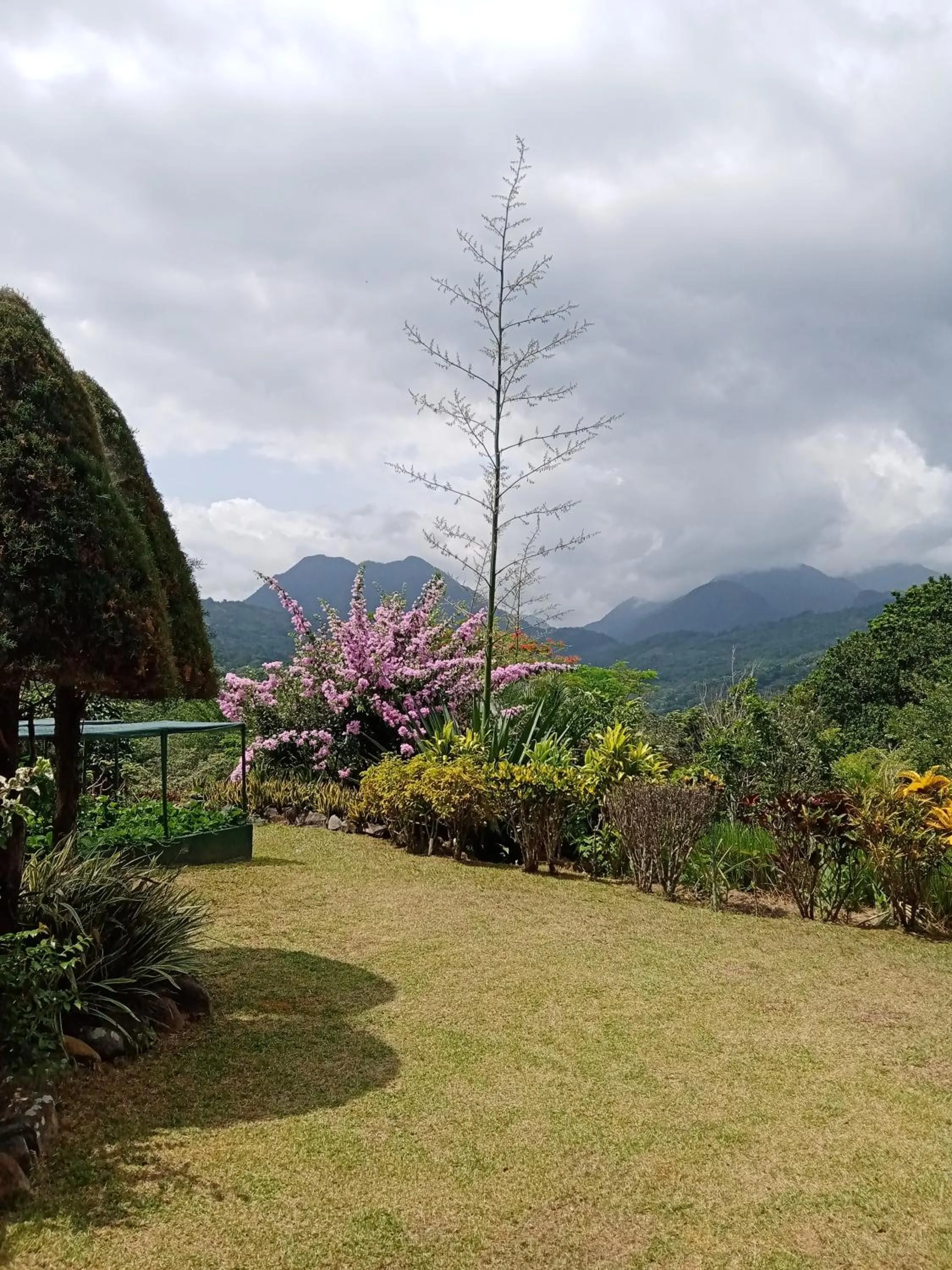 Garden view in Hotel Anachoreo