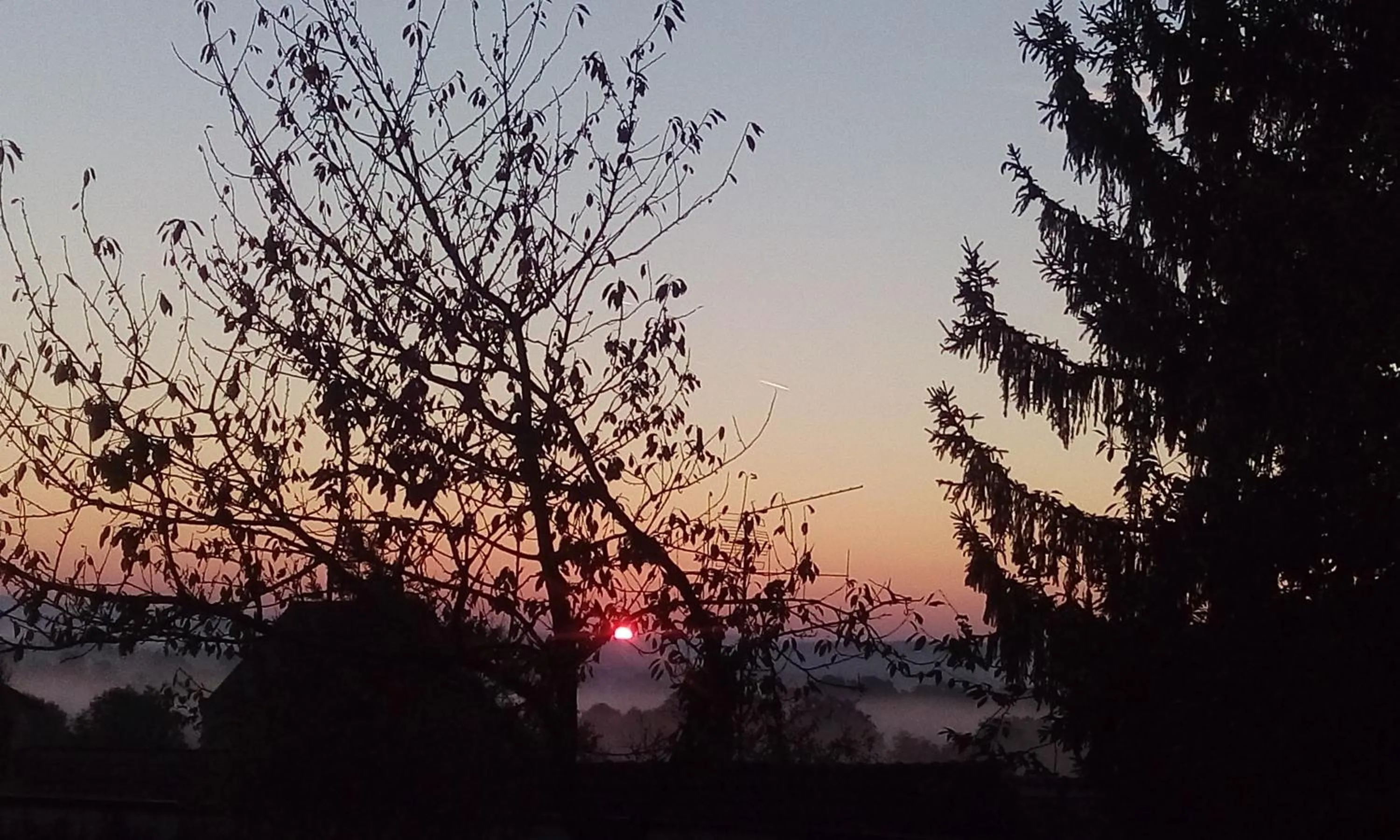 Garden view in Chez Casimir