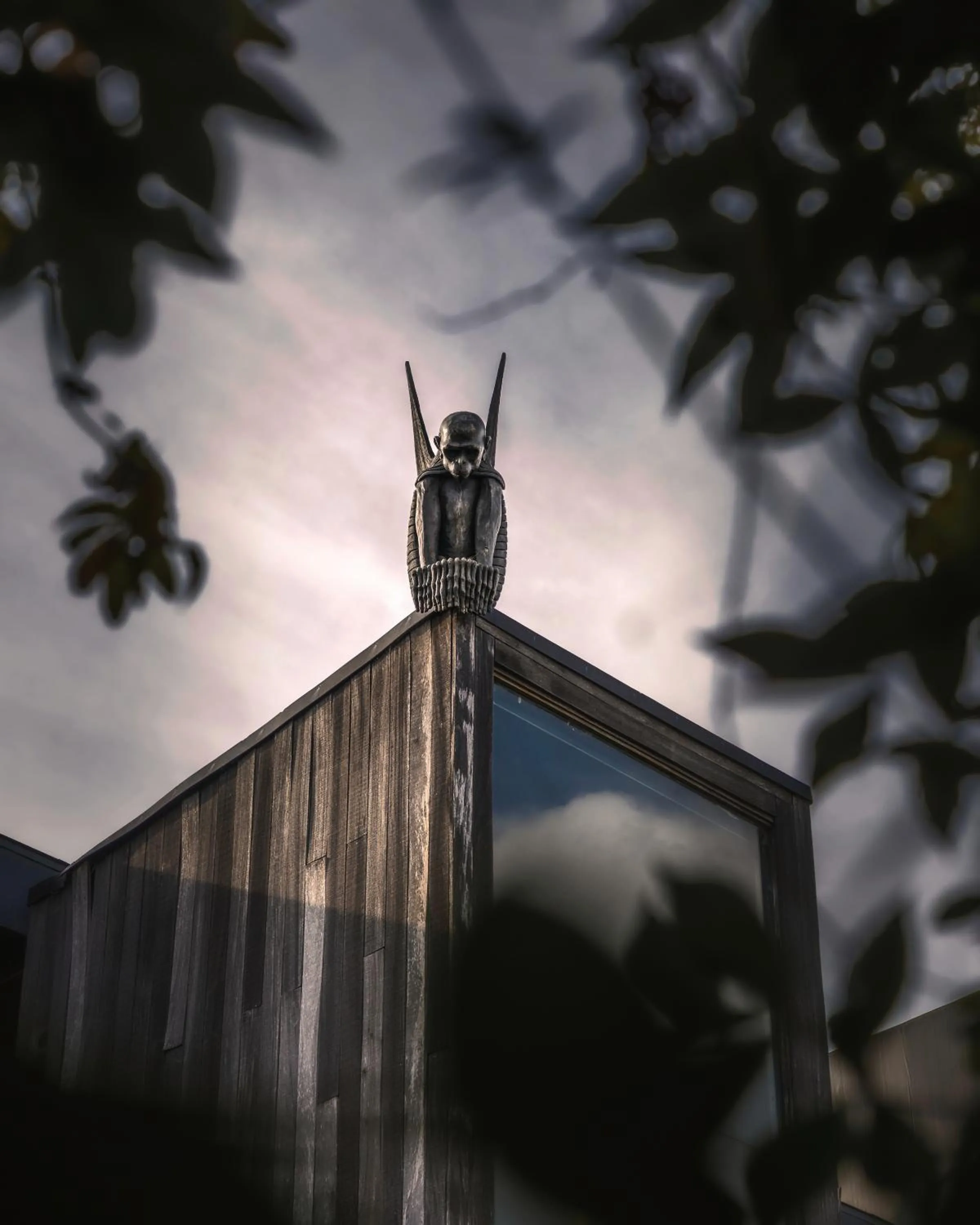 Garden view in The Mandrake