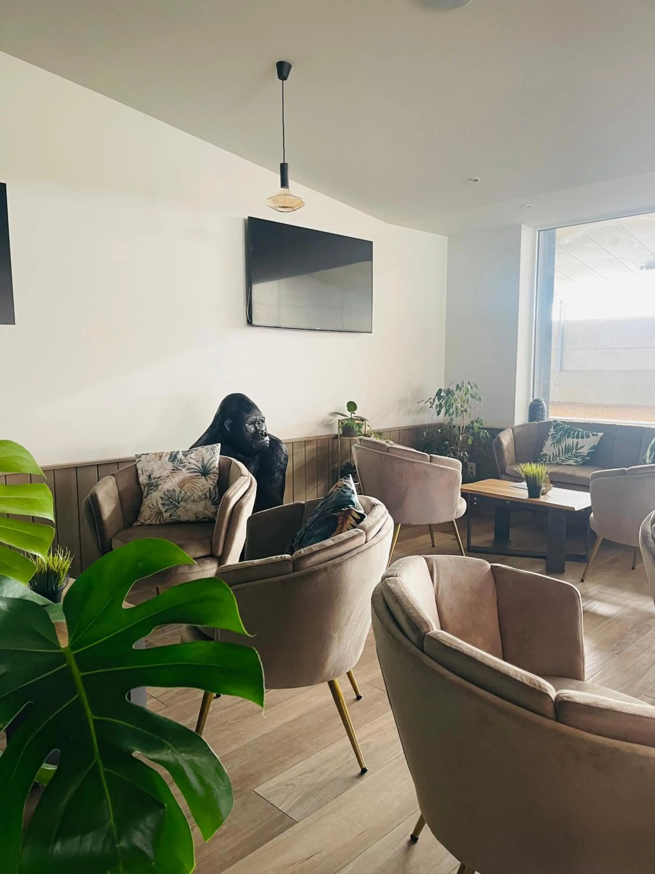 Lounge or bar in Equus B&B
