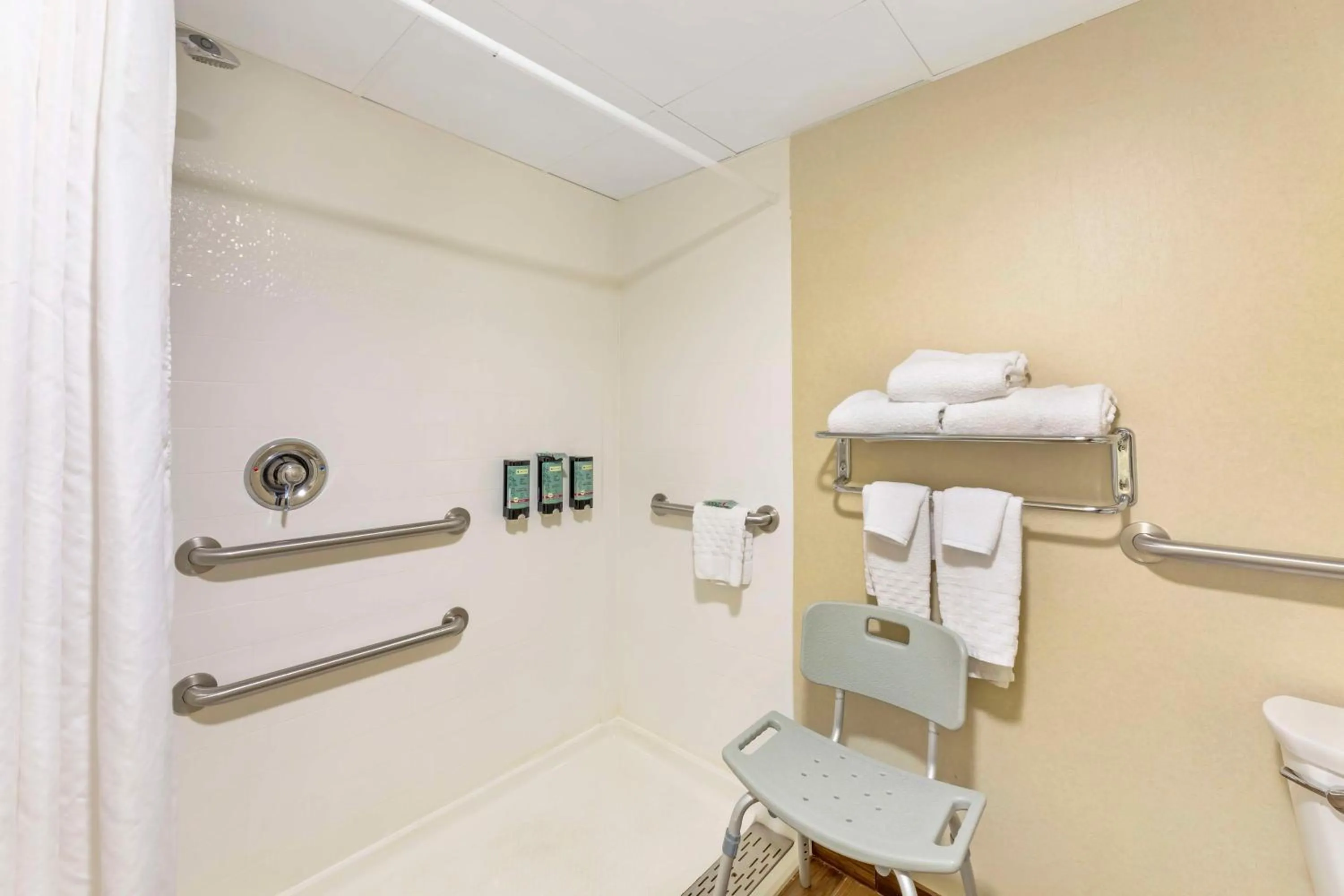 Bathroom in Best Western Rochester Marketplace Inn