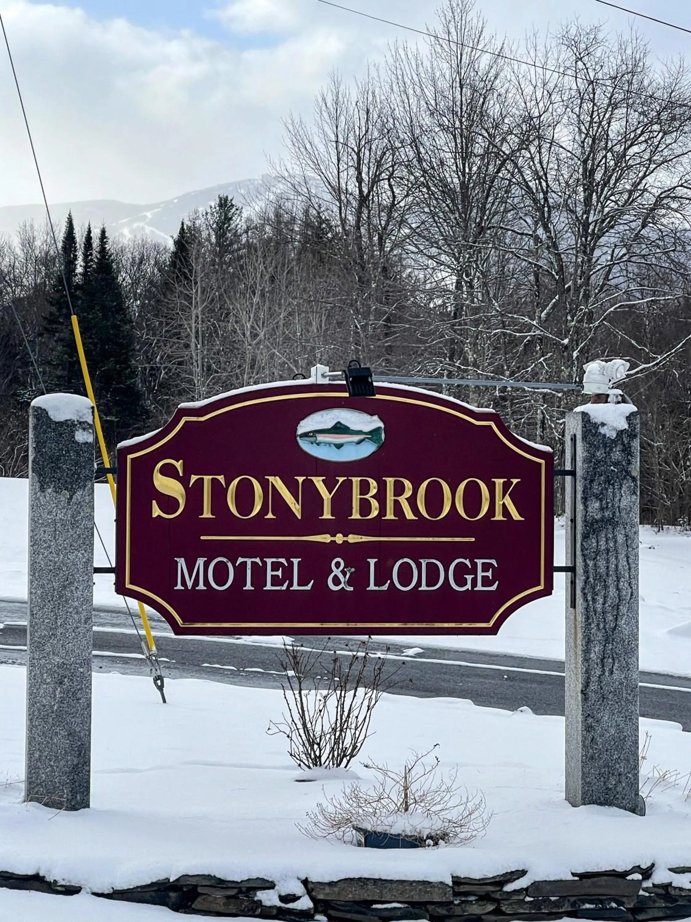 Logo/Certificate/Sign in Stonybrook Motel & Lodge