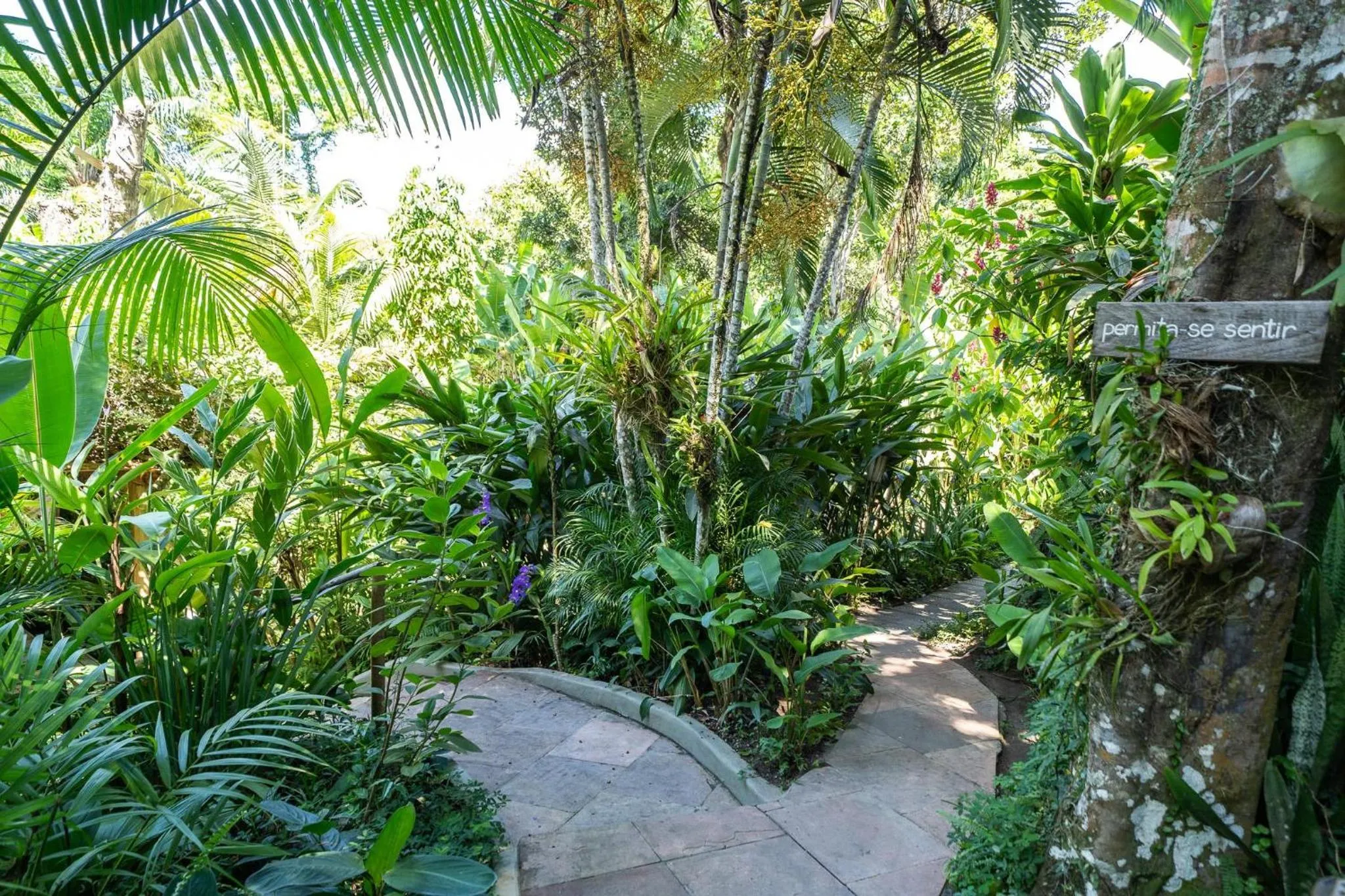 Natural landscape in Pousada do Bosque