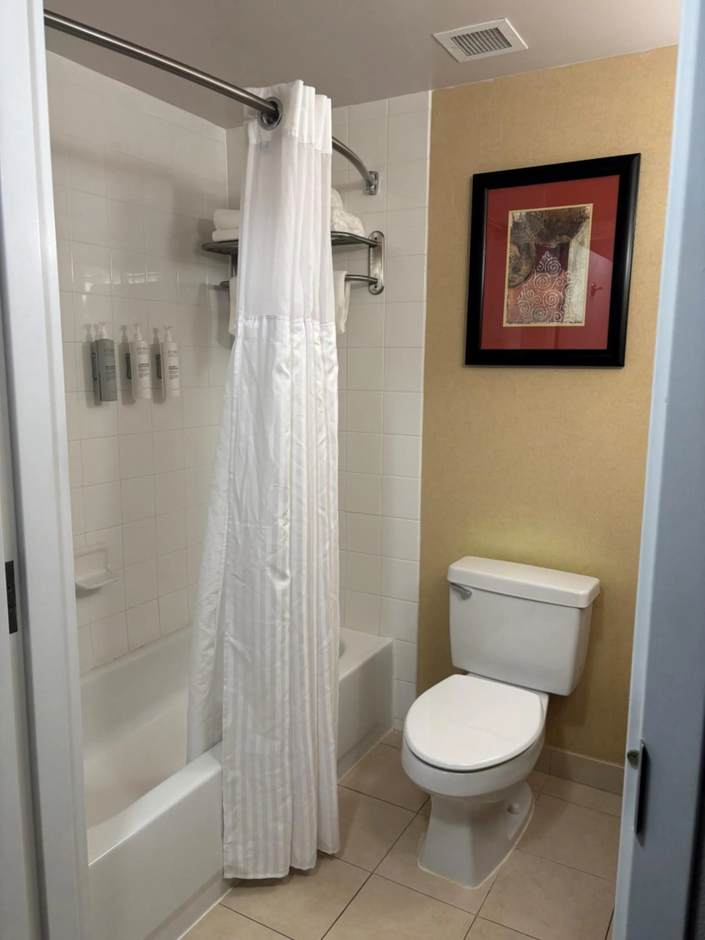 Shower in Hilton Garden Inn Augusta