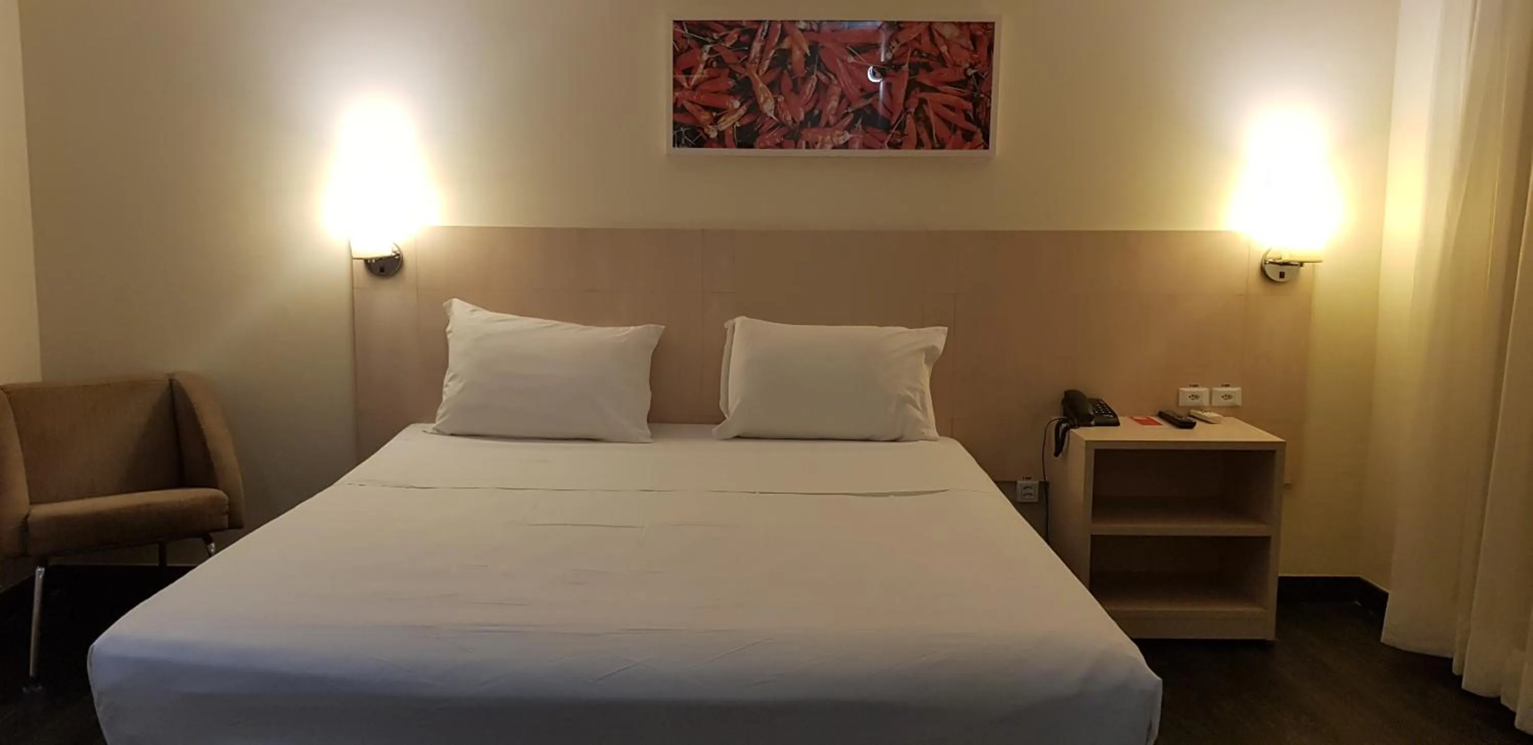 Double Room in ibis Styles Belem Batista Campos