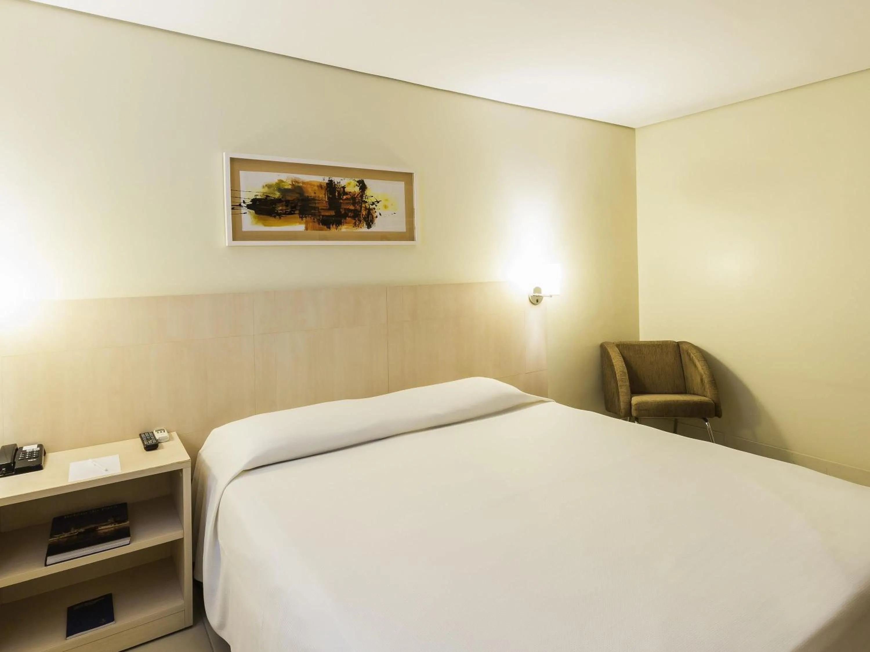 Standard Apartment with Double Bed - single occupancy in ibis Styles Belem Batista Campos