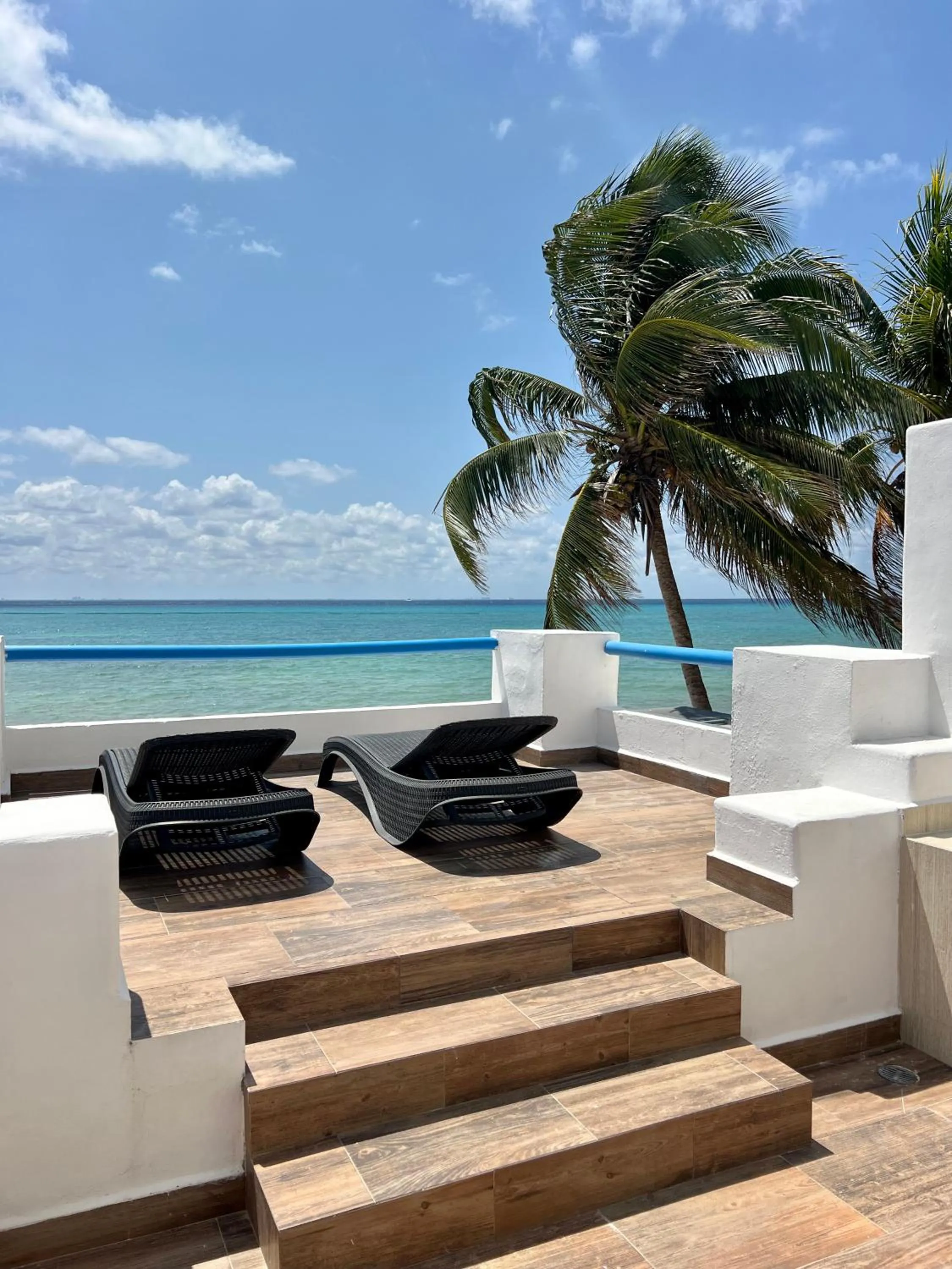 Natural landscape in Pelicano Inn Playa del Carmen - Beachfront Hotel
