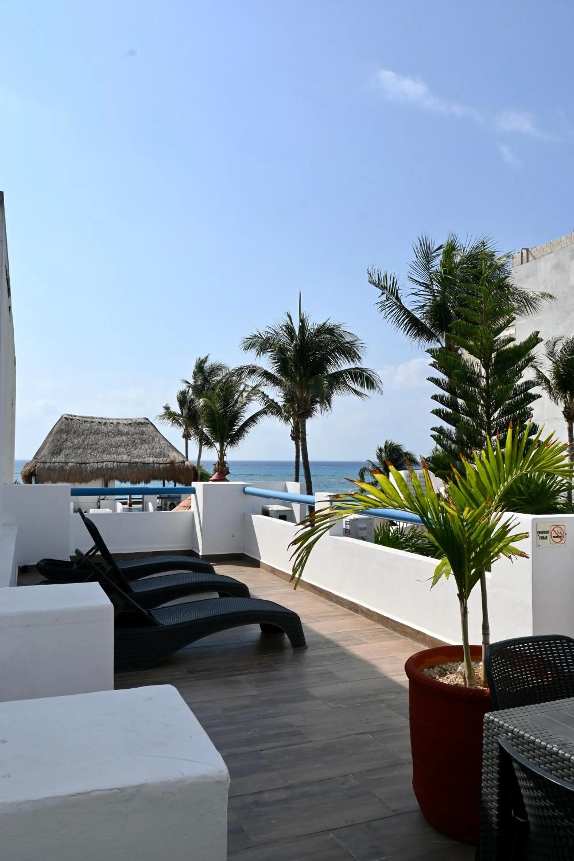 Day in Pelicano Inn Playa del Carmen - Beachfront Hotel