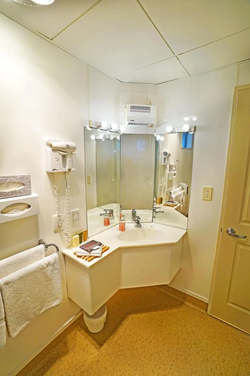 Bathroom in Ashwood Manor Motor Lodge