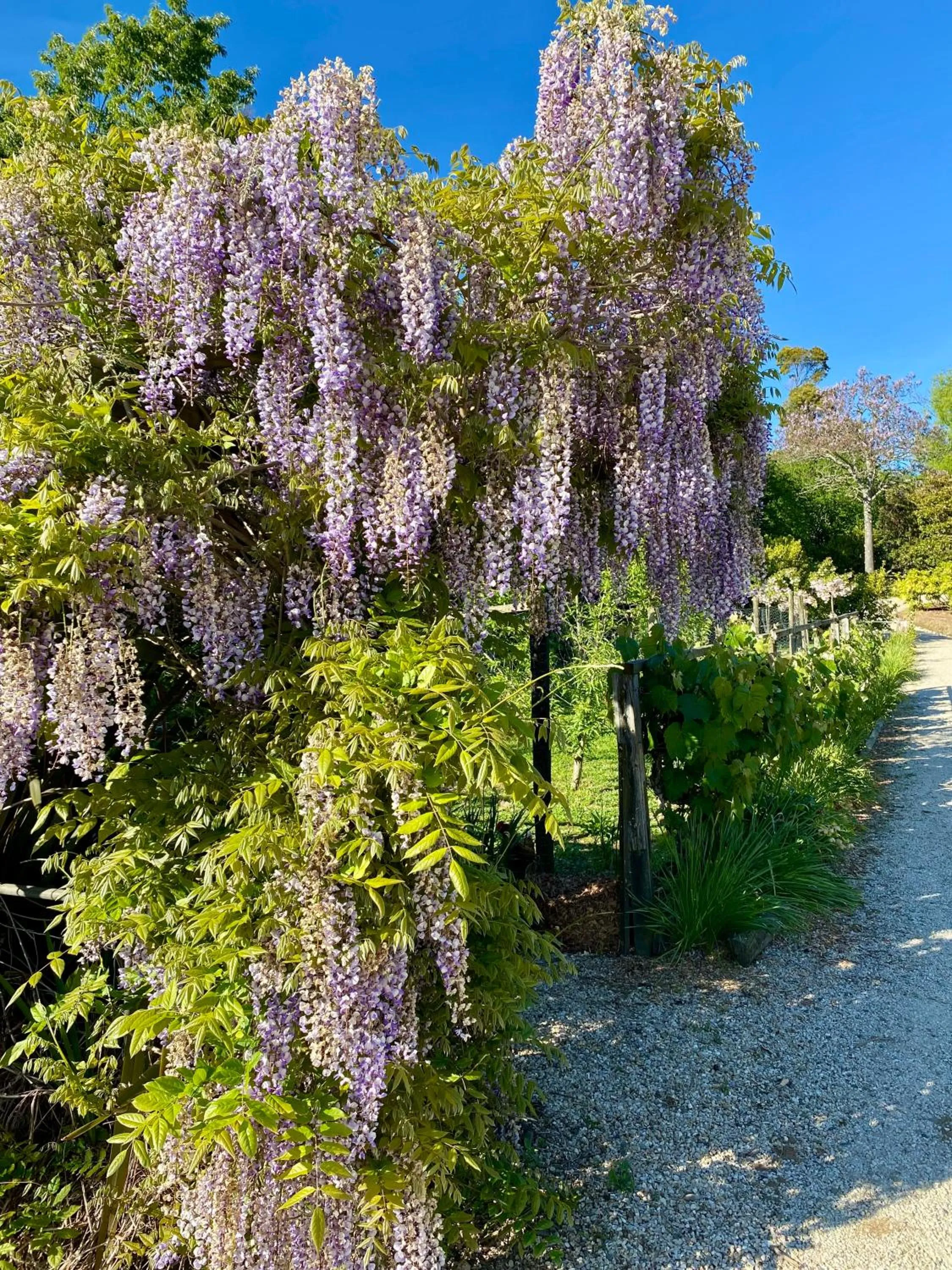 Natural landscape in Terraced Chalets