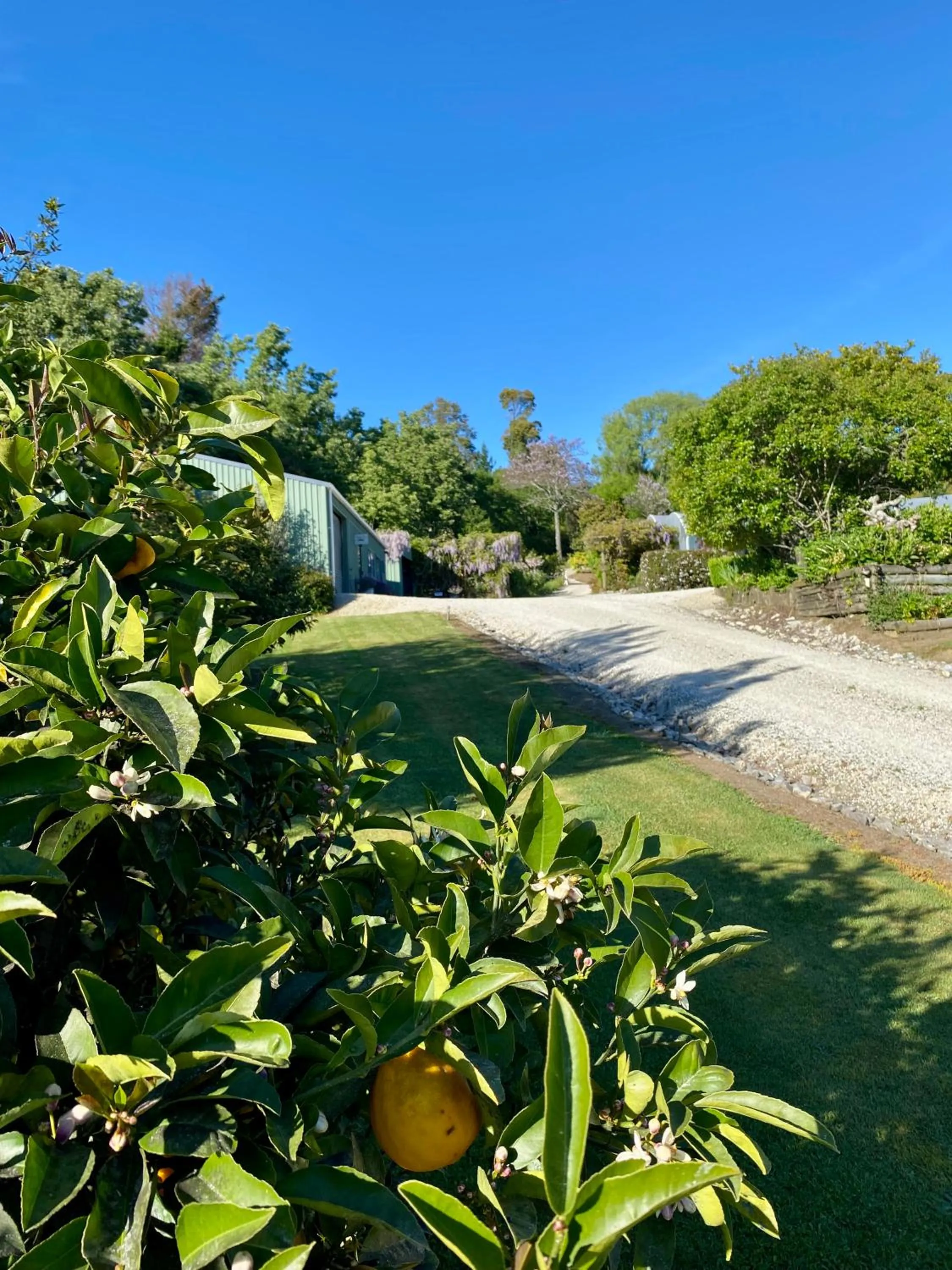 Garden in Terraced Chalets