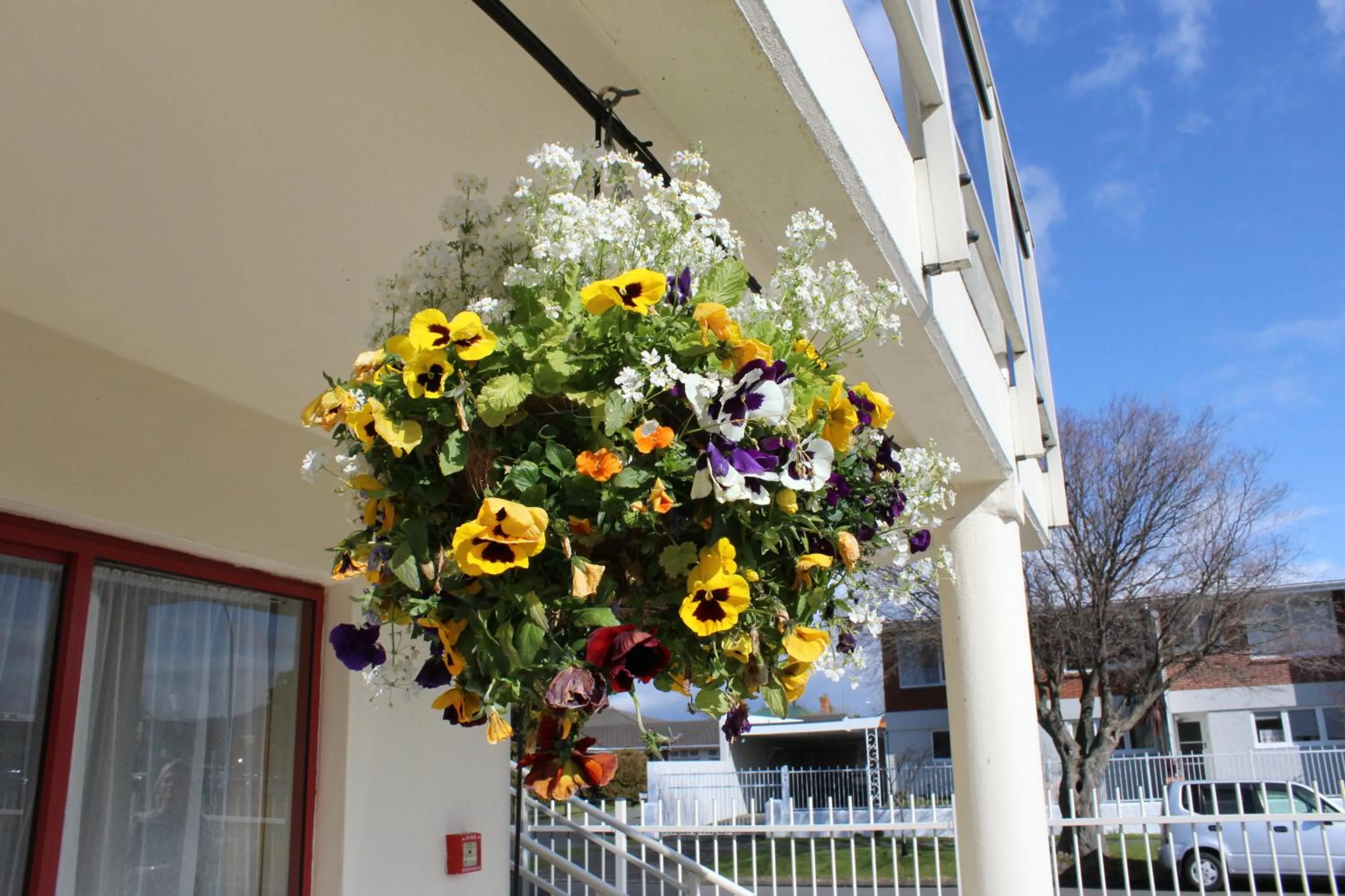 Decorative detail in BK's Rotorua Motor Lodge