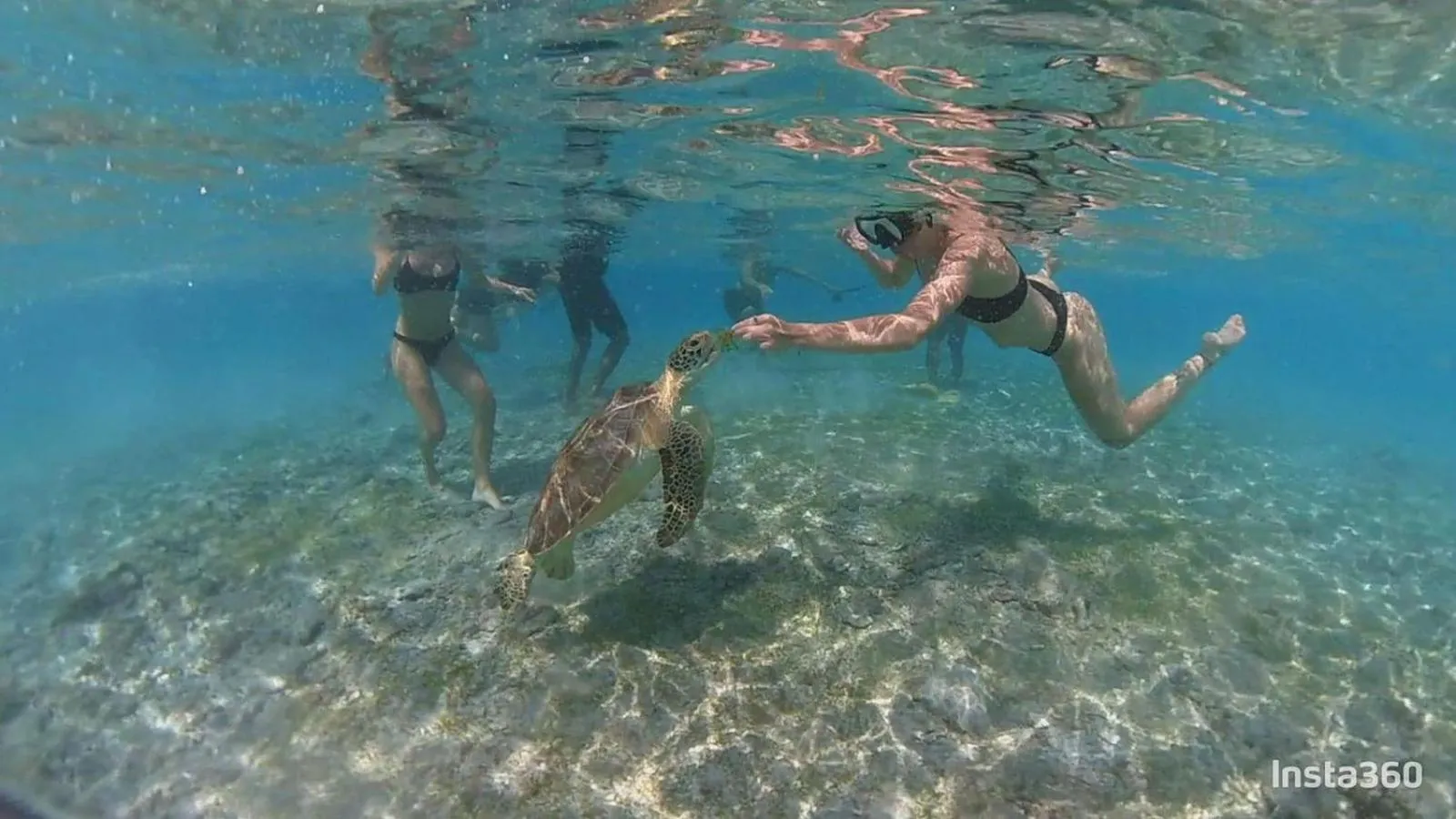 Activities in Living Trawangan Hotel