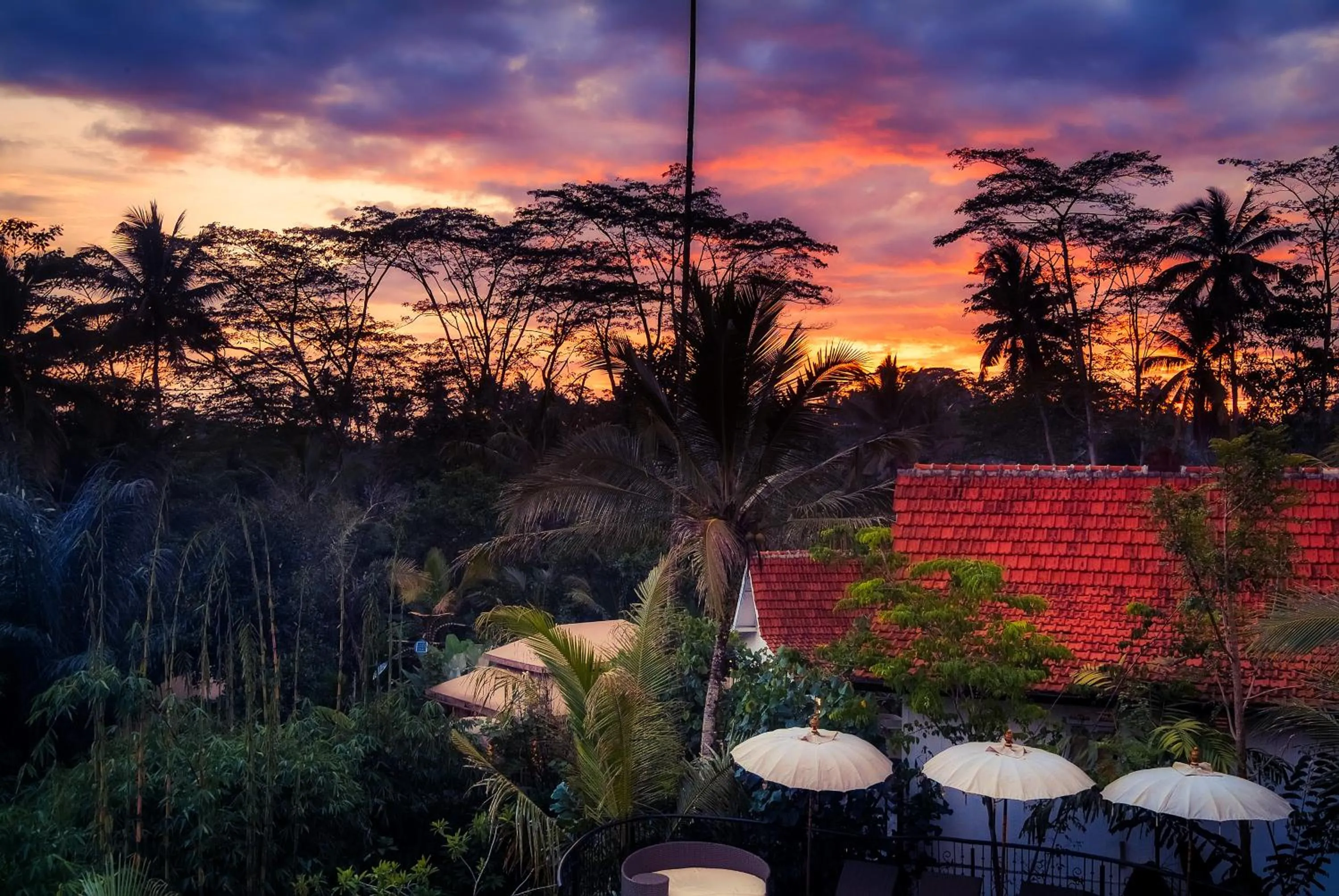 Garden view in Sebatu Sanctuary Eco-resort