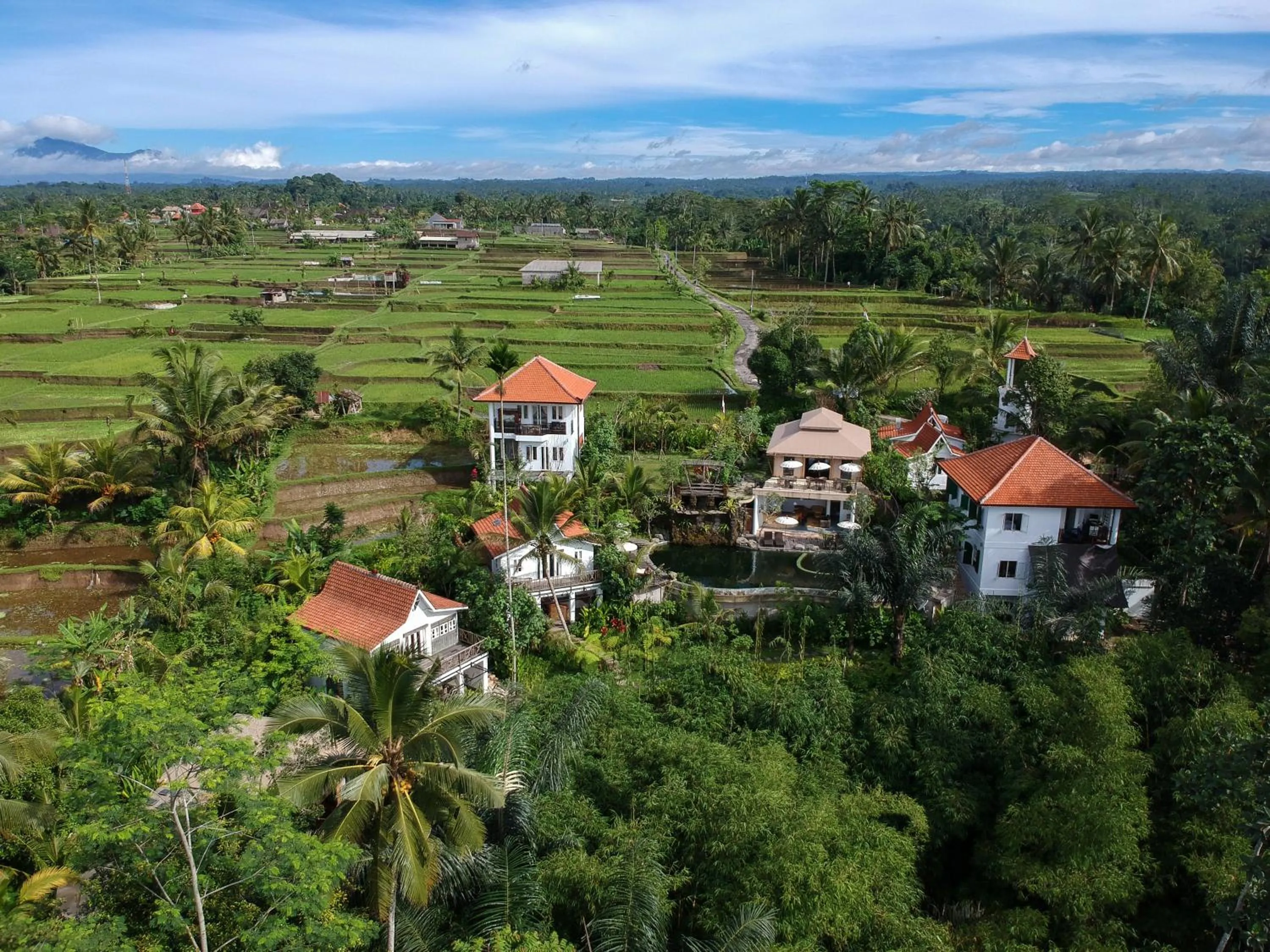 Natural landscape in Sebatu Sanctuary Eco-resort