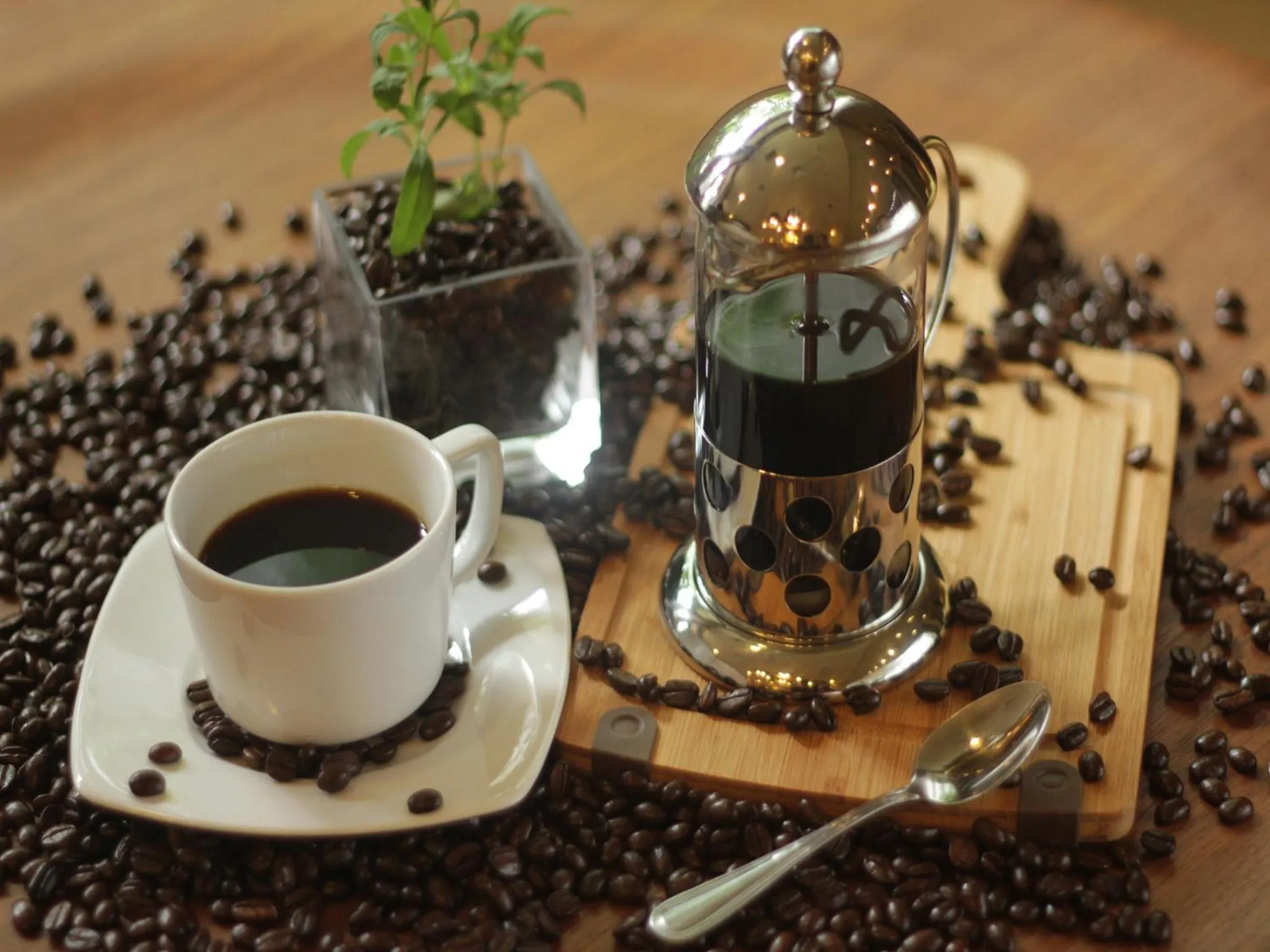 Food in Parque España Residence Hotel