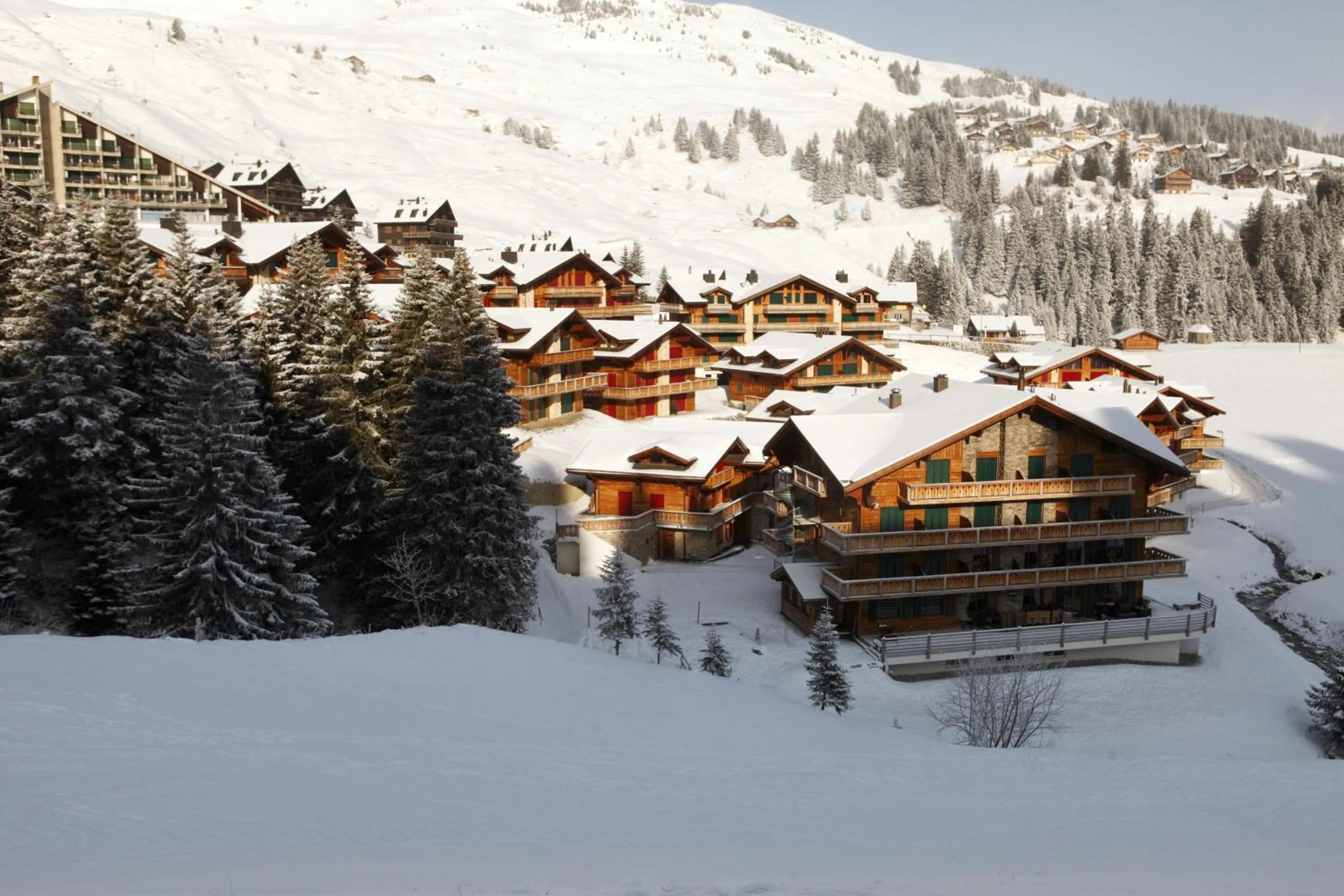Facade/entrance in Mountain Lodge, Les Crosets