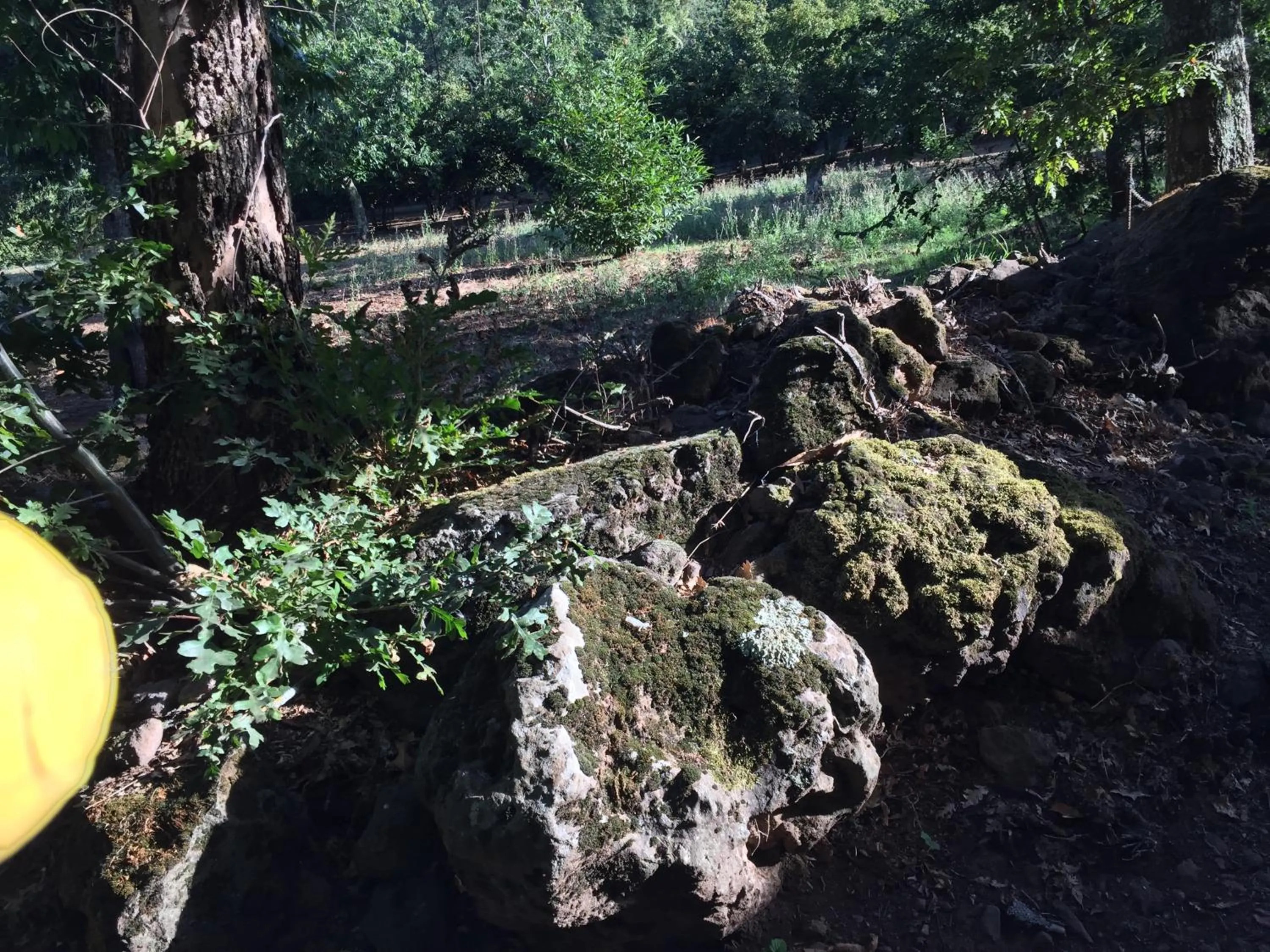 Natural landscape in Le Quattro Stagioni