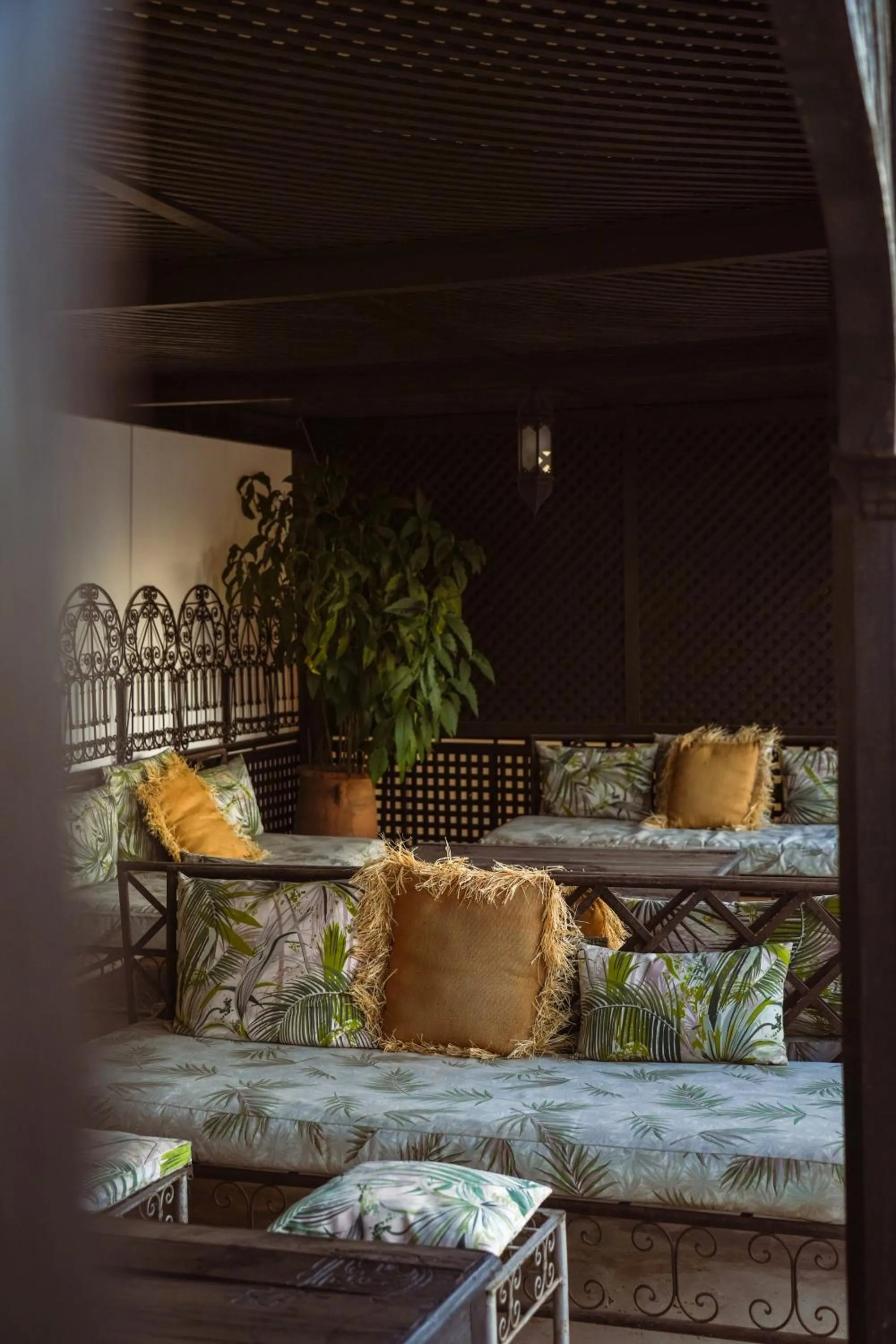 Balcony/Terrace in Riad Fabiola Et Spa By La Siredrah