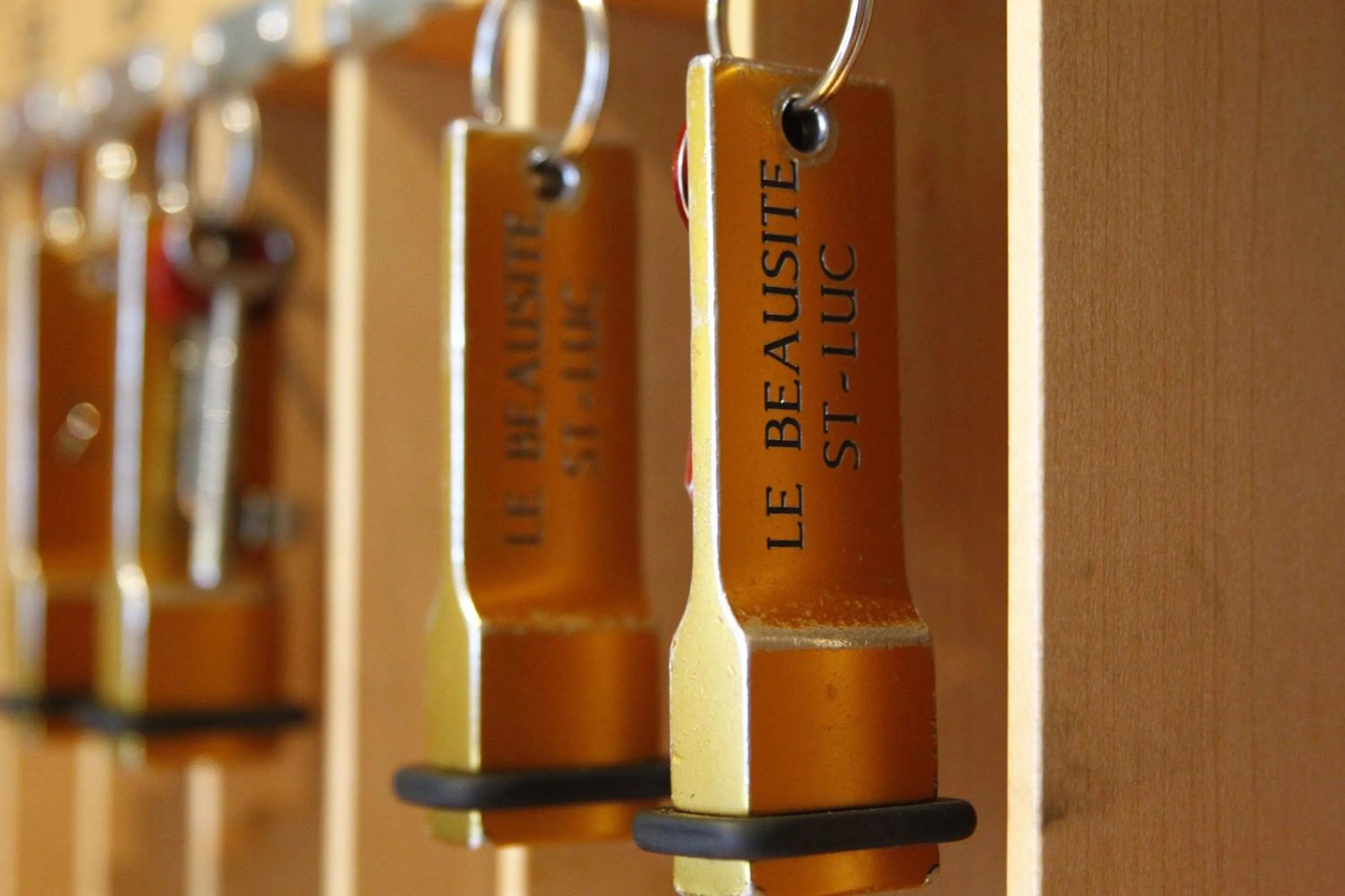 Lobby or reception in Hotel le Beausite