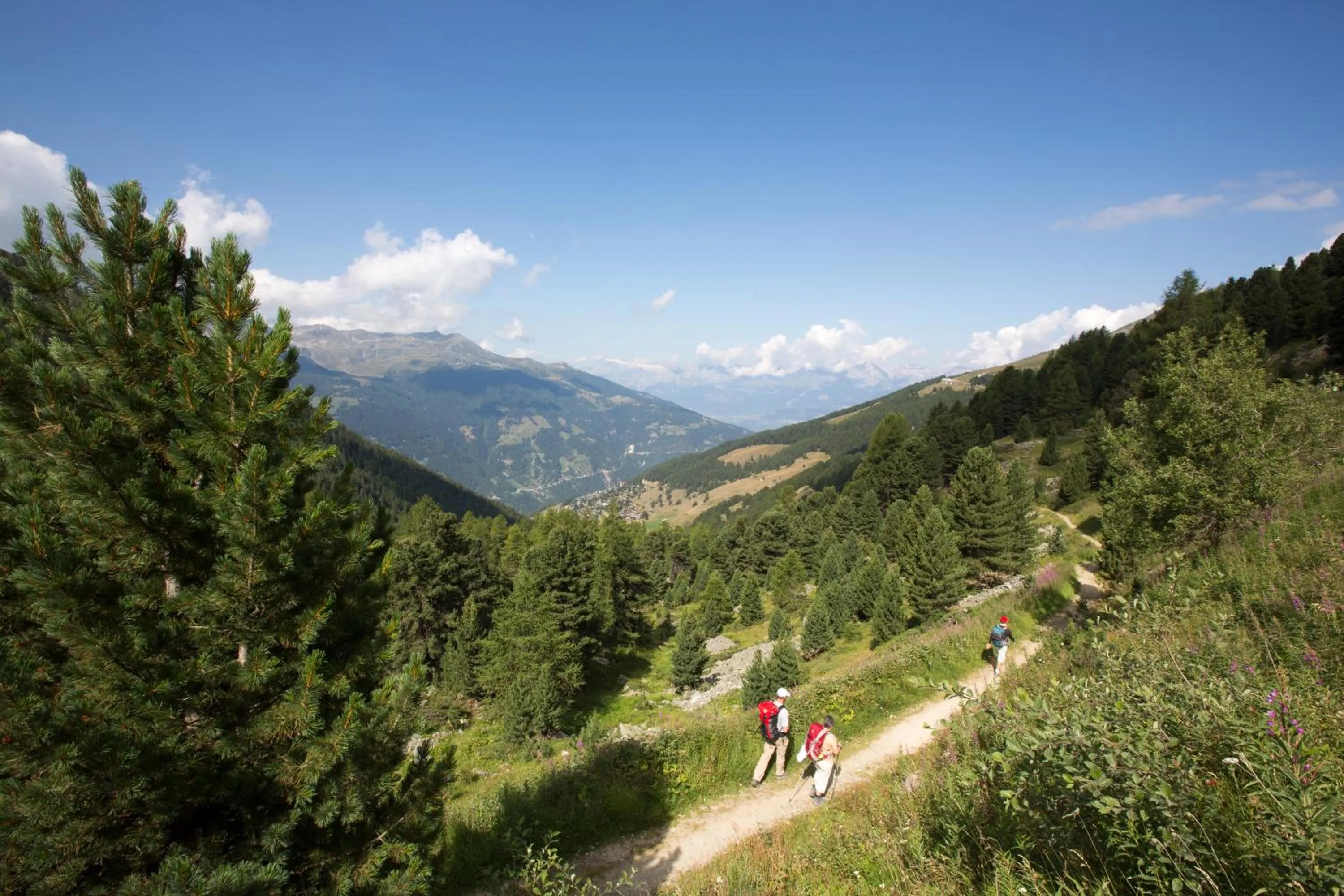 Natural landscape in Hotel le Beausite