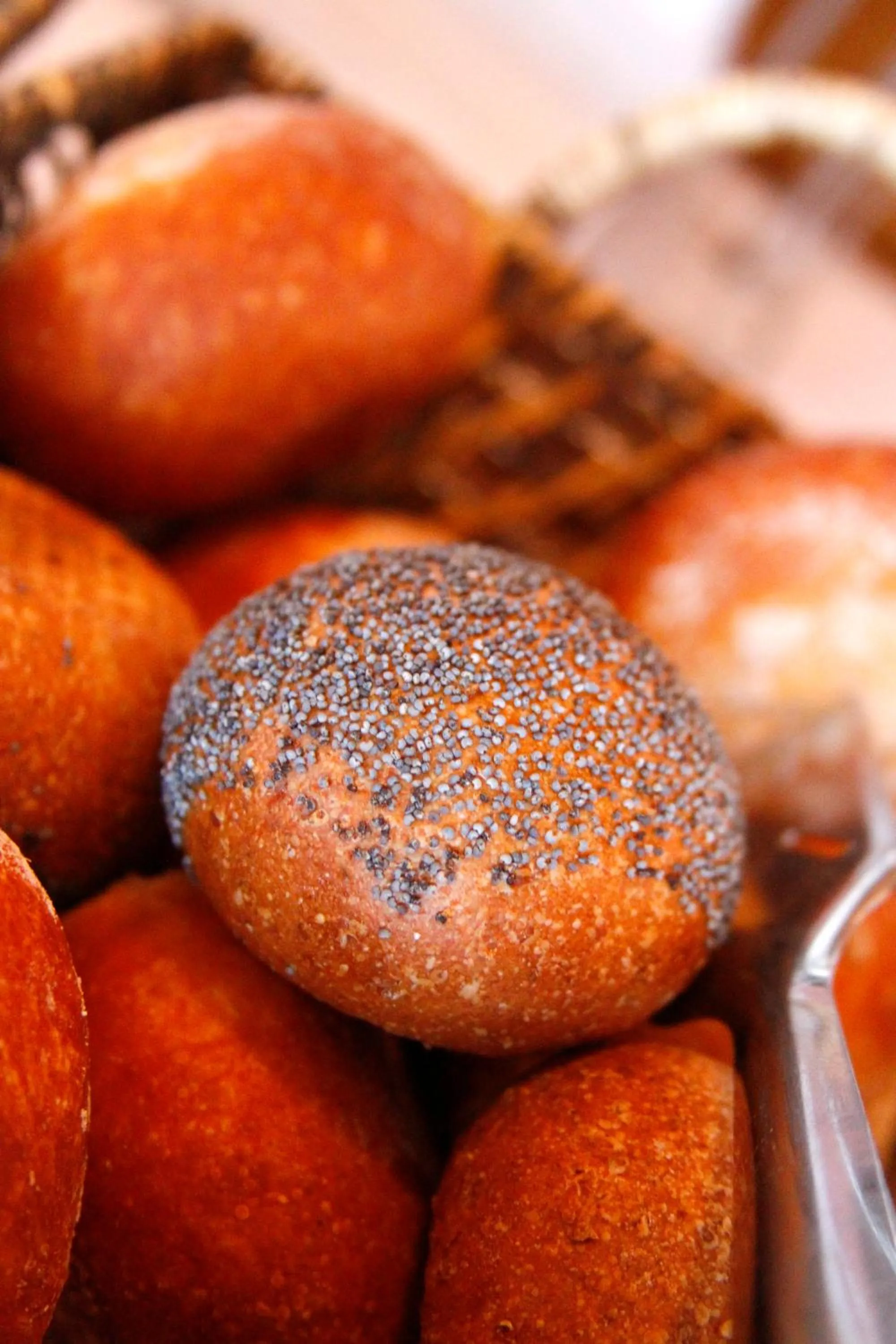 Food and drinks in Hotel le Beausite