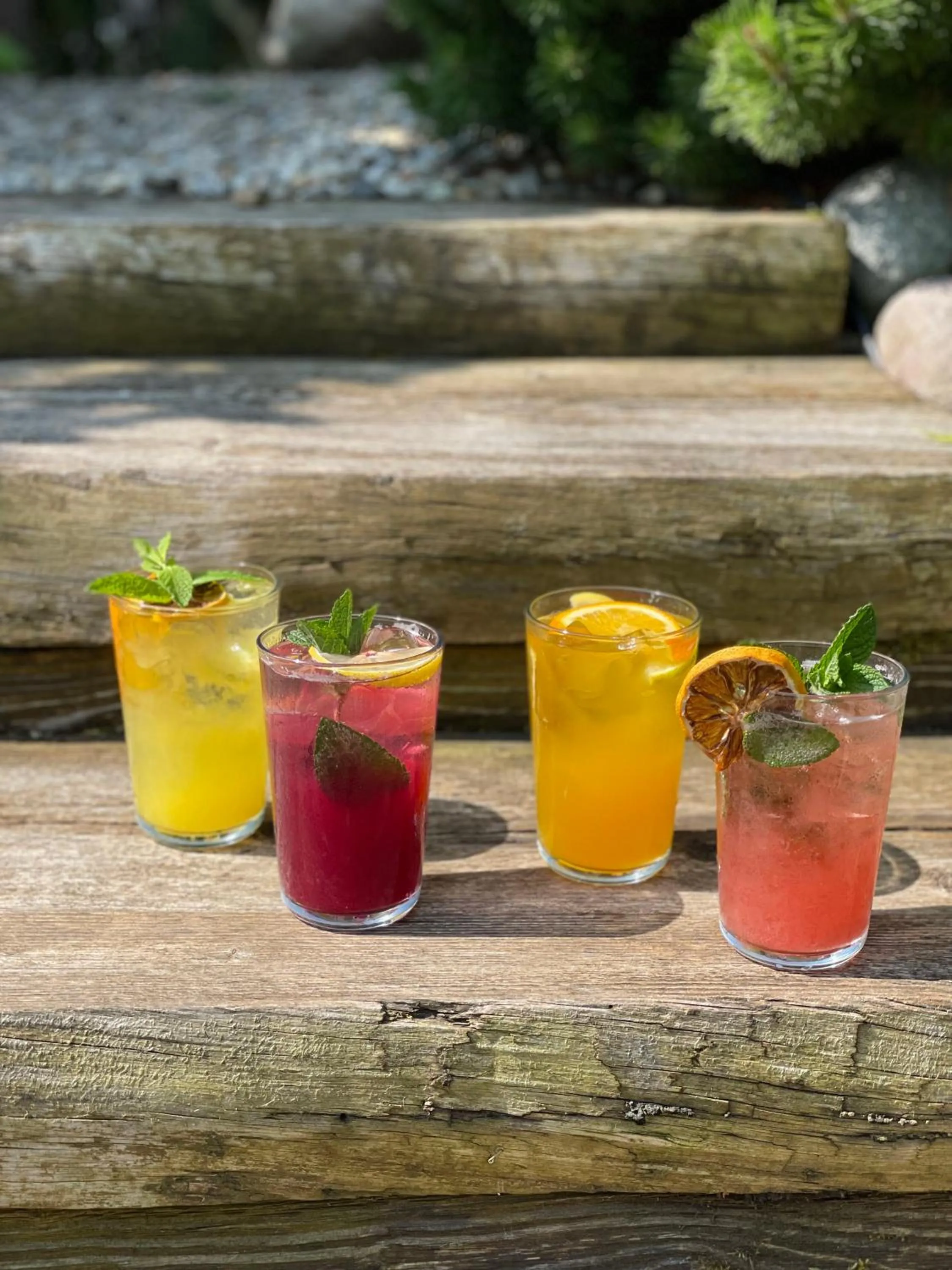 Drinks in Wellness Penzión Vila Mery