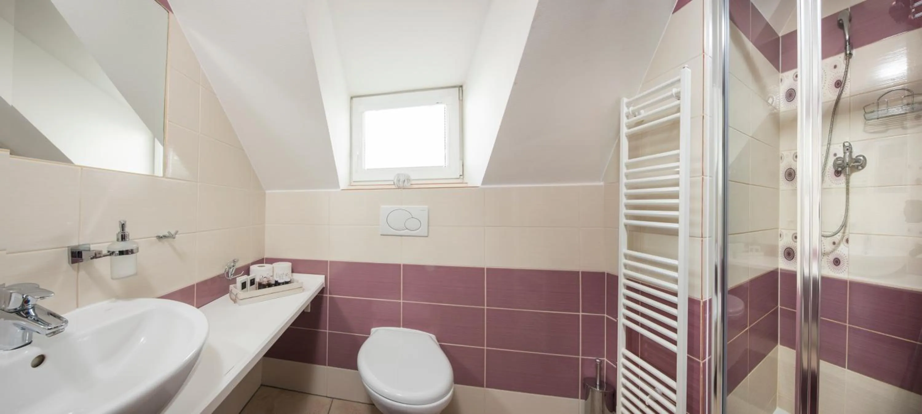 Shower in Wellness Penzión Vila Mery