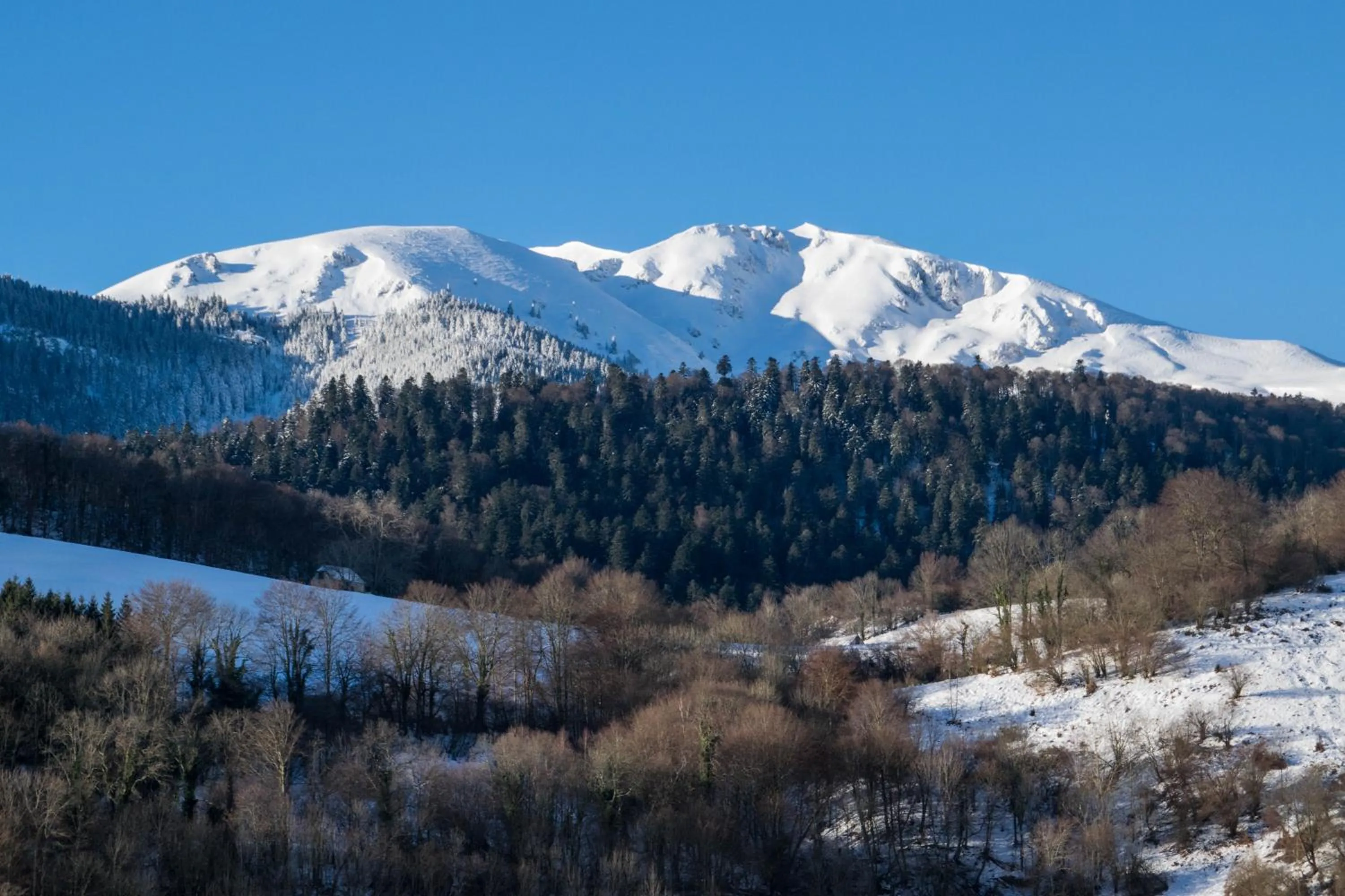 Other in Vie d'Estive