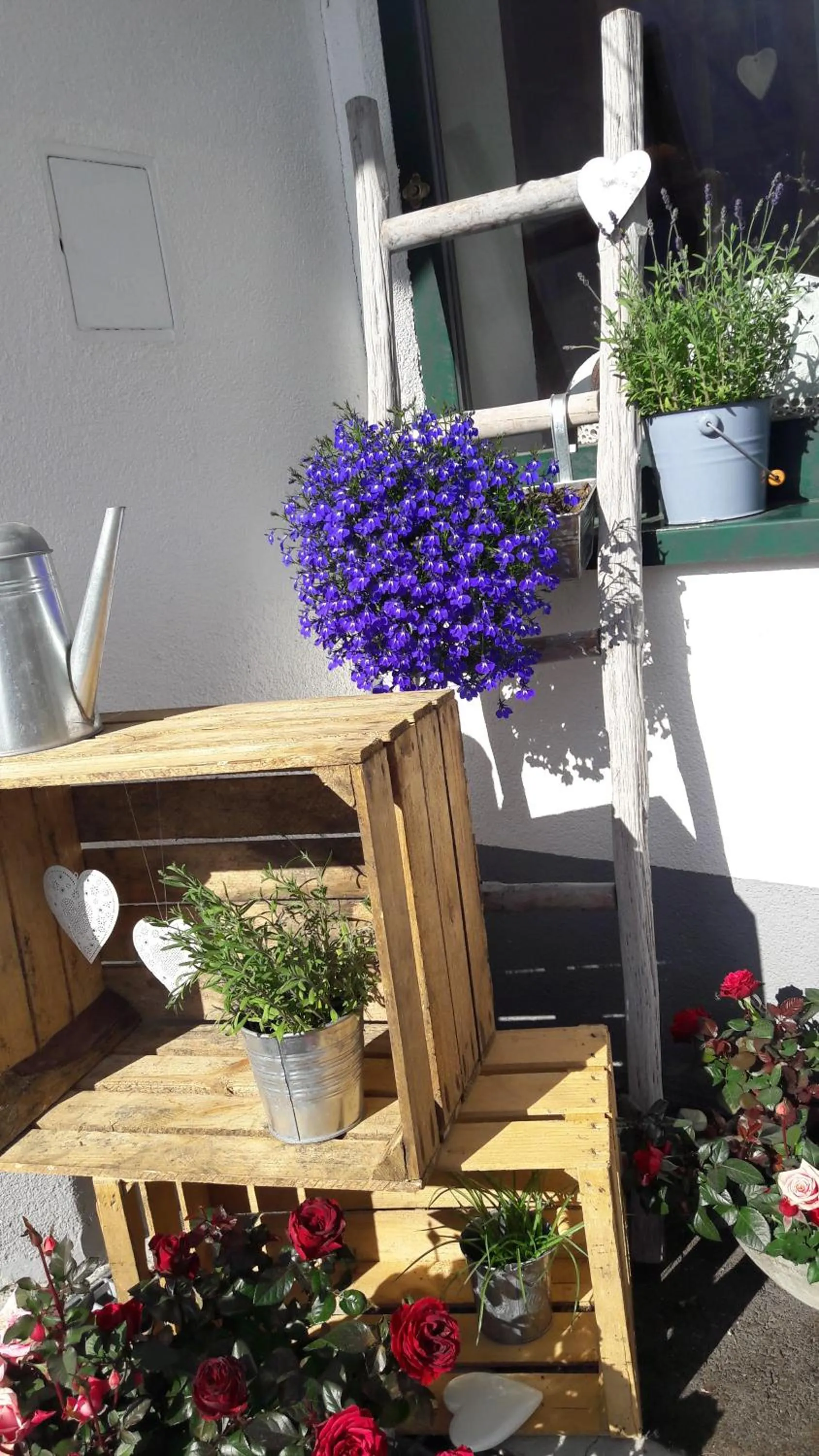 Day in Hotel Casada - Silvretta Premium Card Betrieb