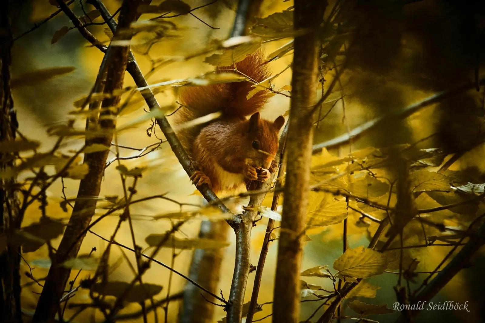 Hotel Bruggner Stub`n