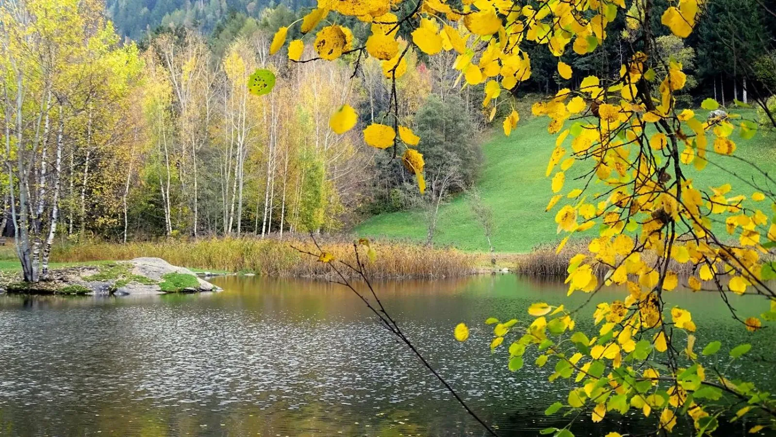 Hotel Bruggner Stub`n