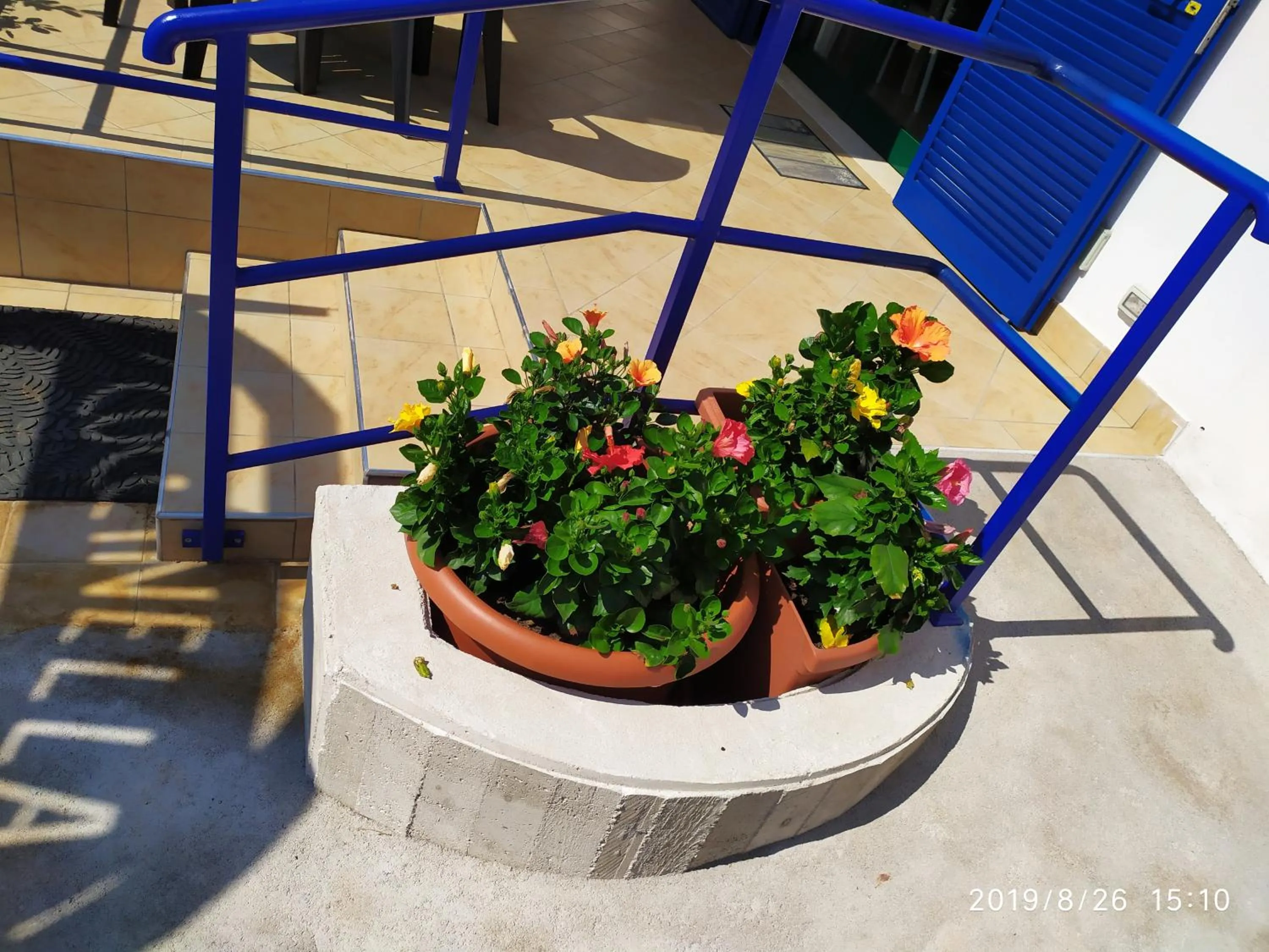 Facade/entrance in Coccinella