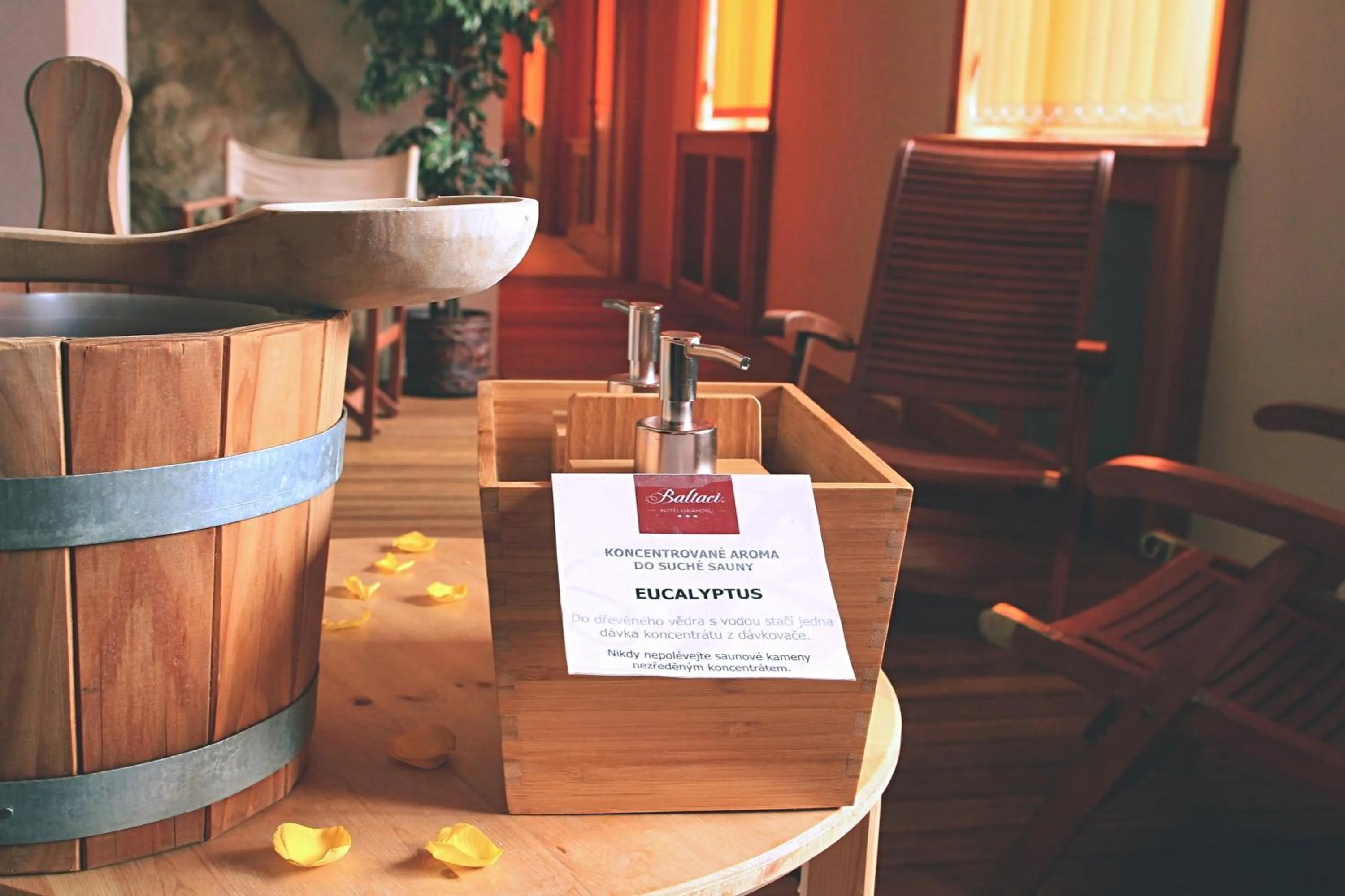 Spa and wellness centre/facilities in Hotel Baltaci U Náhonu