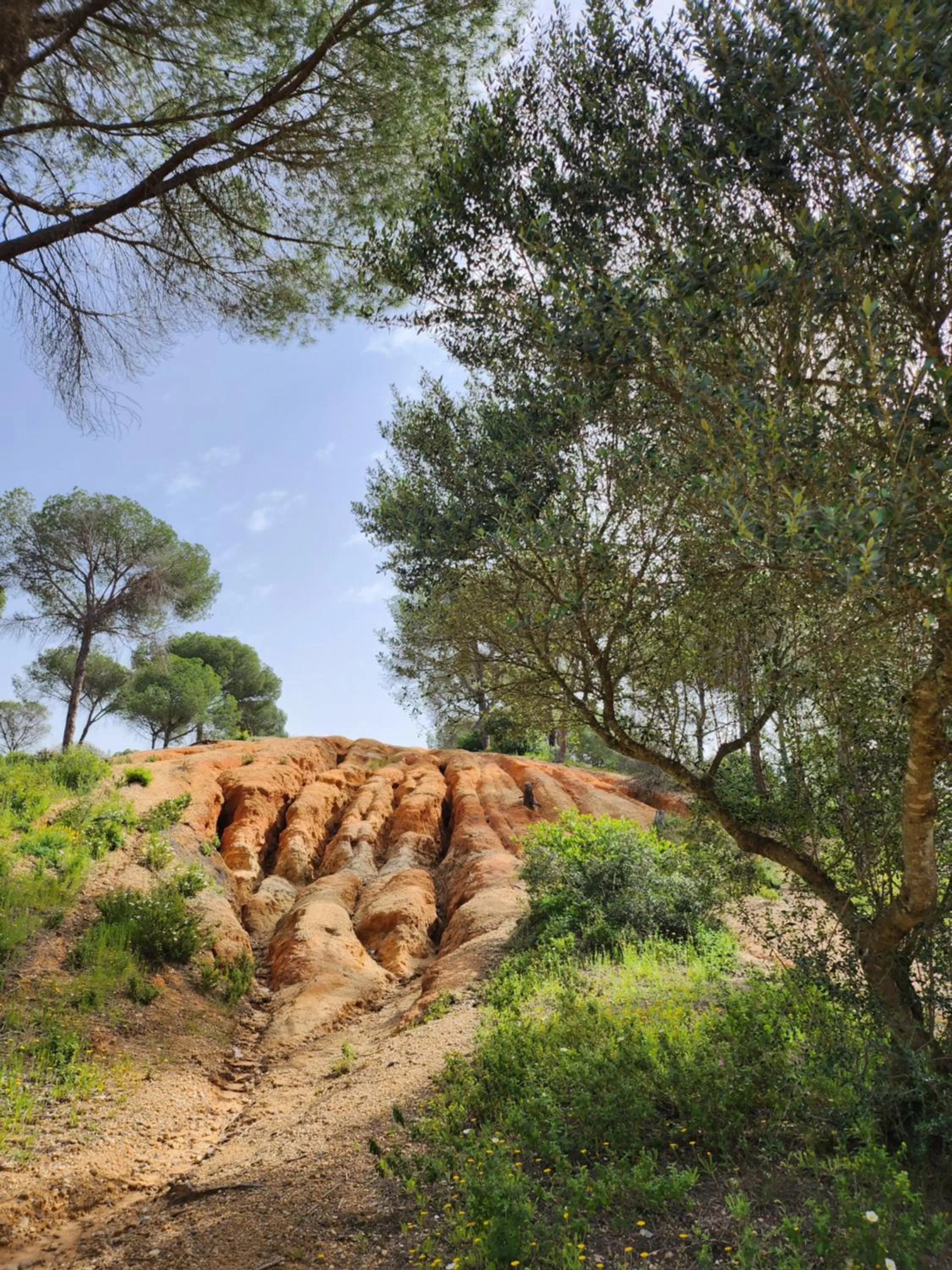 Activities in Hacienda Olontigi