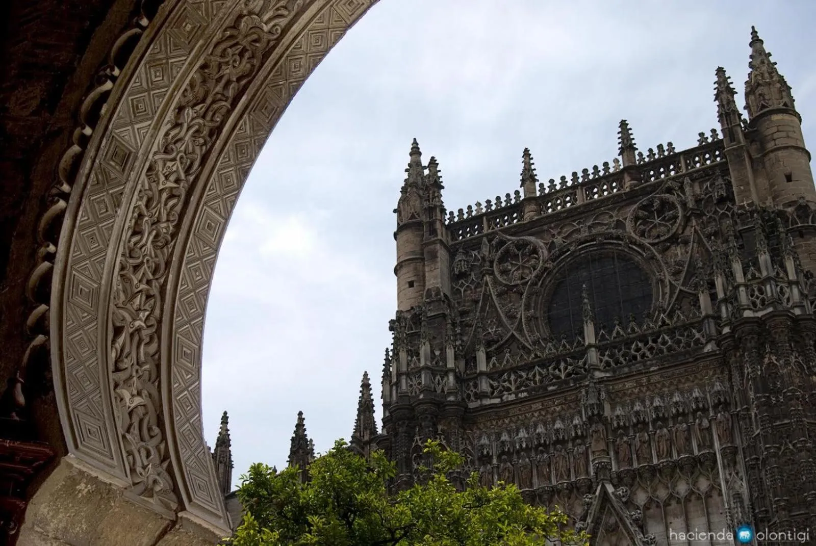 Area and facilities in Hacienda Olontigi