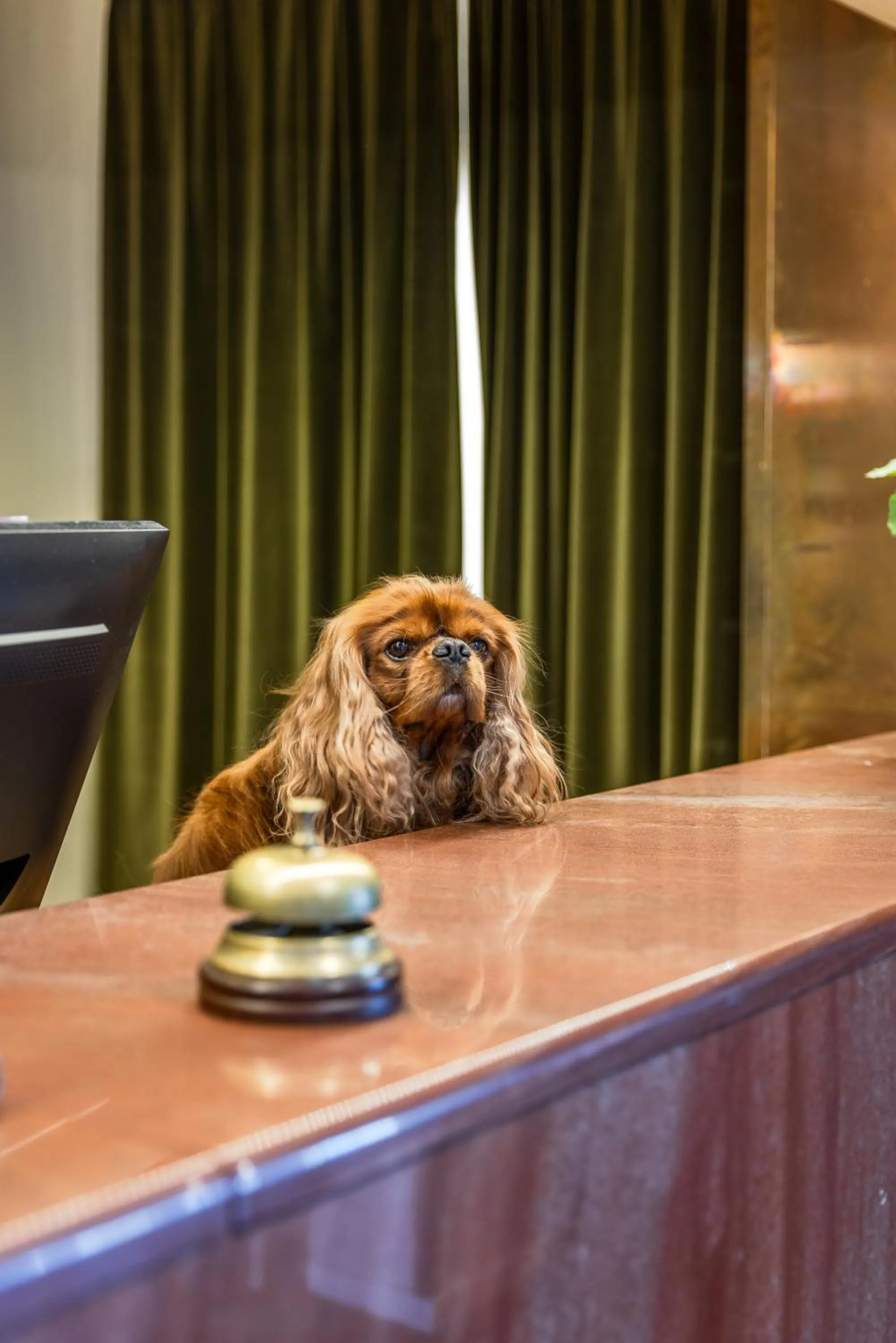 Lobby or reception in Hotell Kung Gösta by First