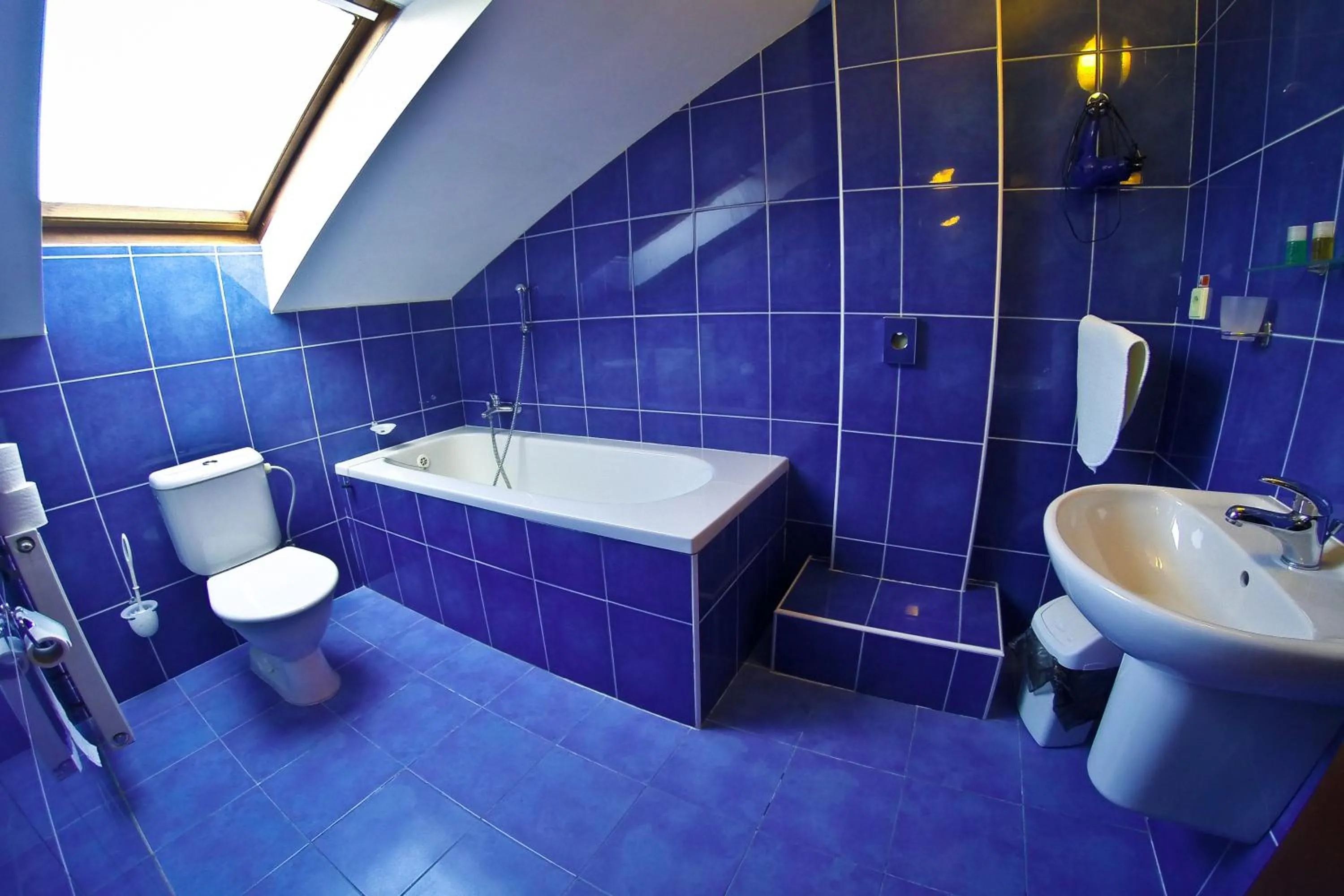 Toilet in Hotel Zlatá Stoupa