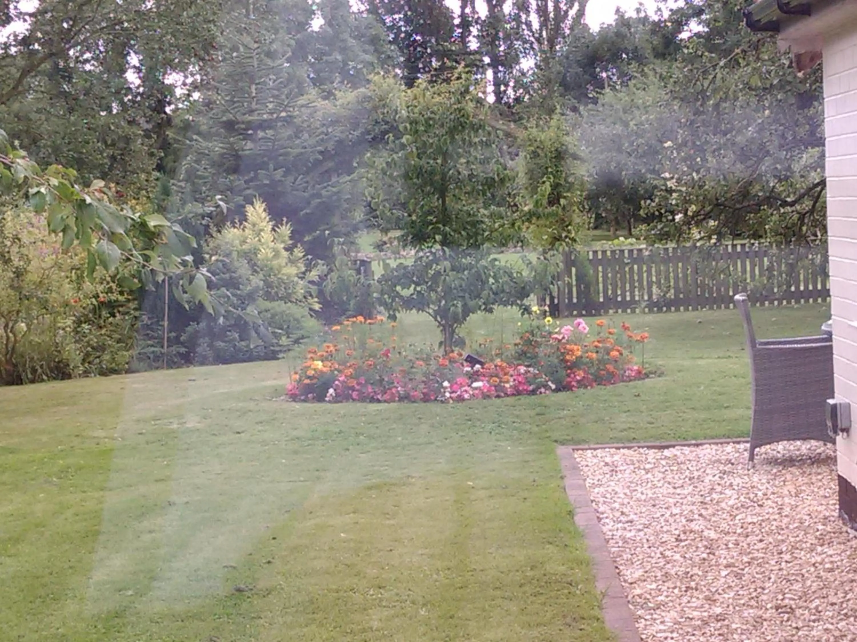 Garden in White Cottage B and B