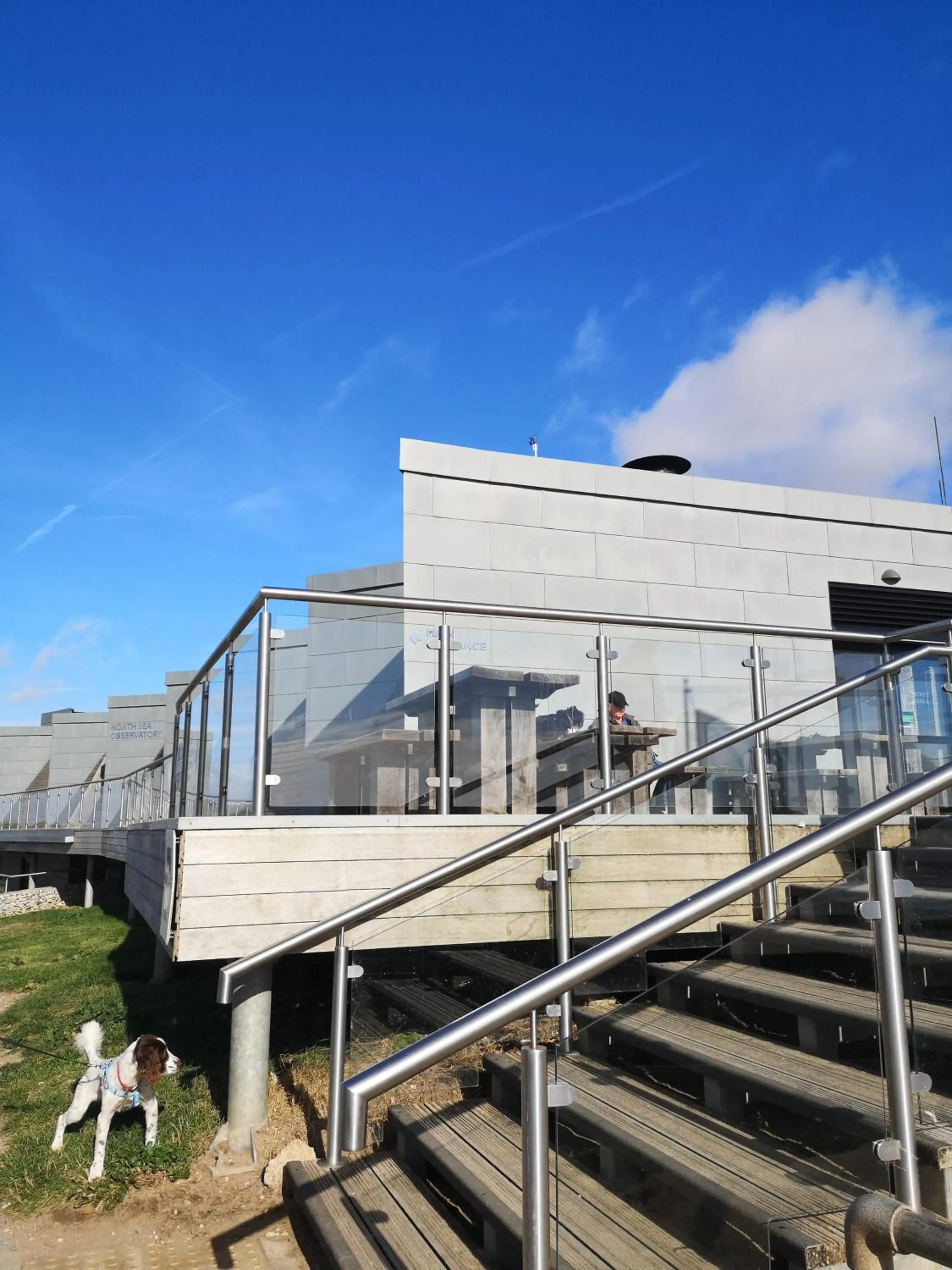 Restaurant/places to eat in White Cottage B and B