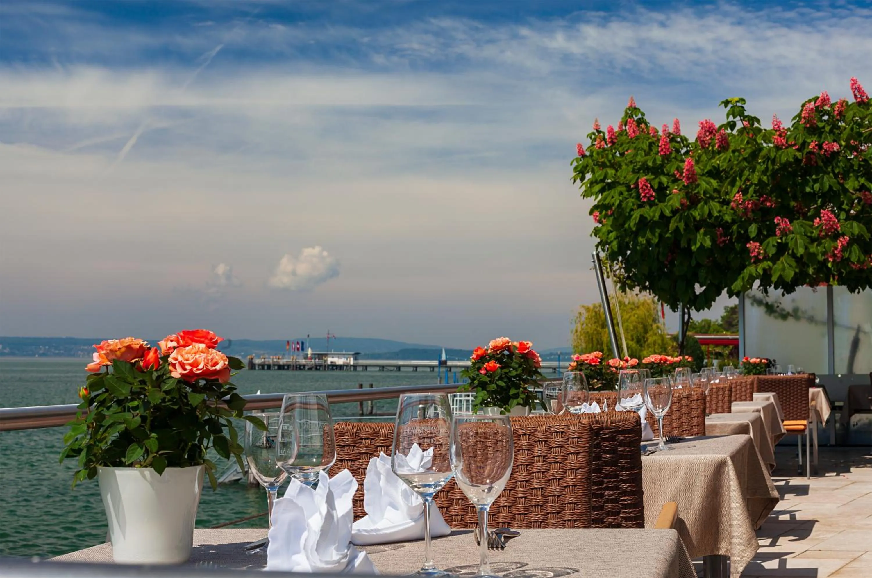 Restaurant/places to eat in Boutiquehotel zur Winzerstube - Adults Only