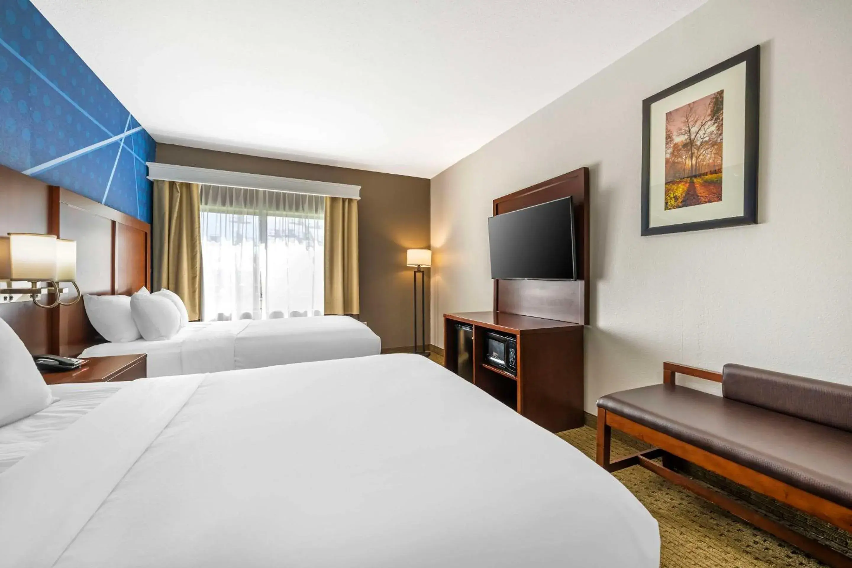 Queen Suite in Comfort Suites Omaha East-Council Bluffs Queen Suite in Comfort Suites Omaha East-Council Bluffs