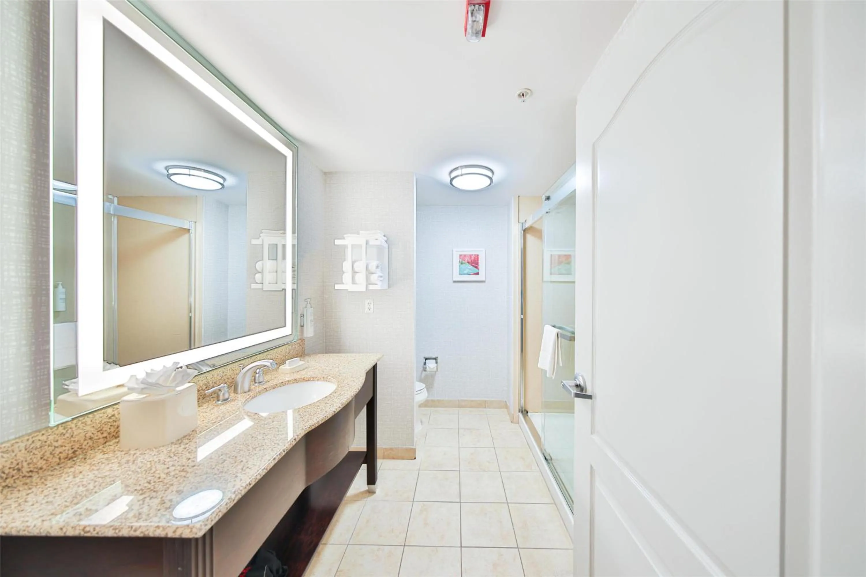 Bathroom in Hampton Inn & Suites by Hilton Seattle/Kent