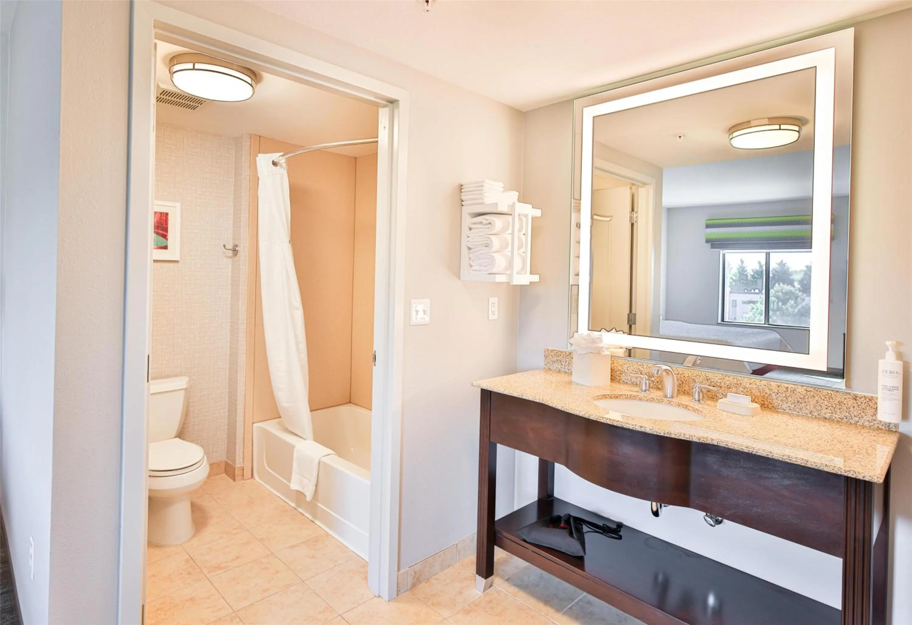 Bathroom in Hampton Inn & Suites by Hilton Seattle/Kent